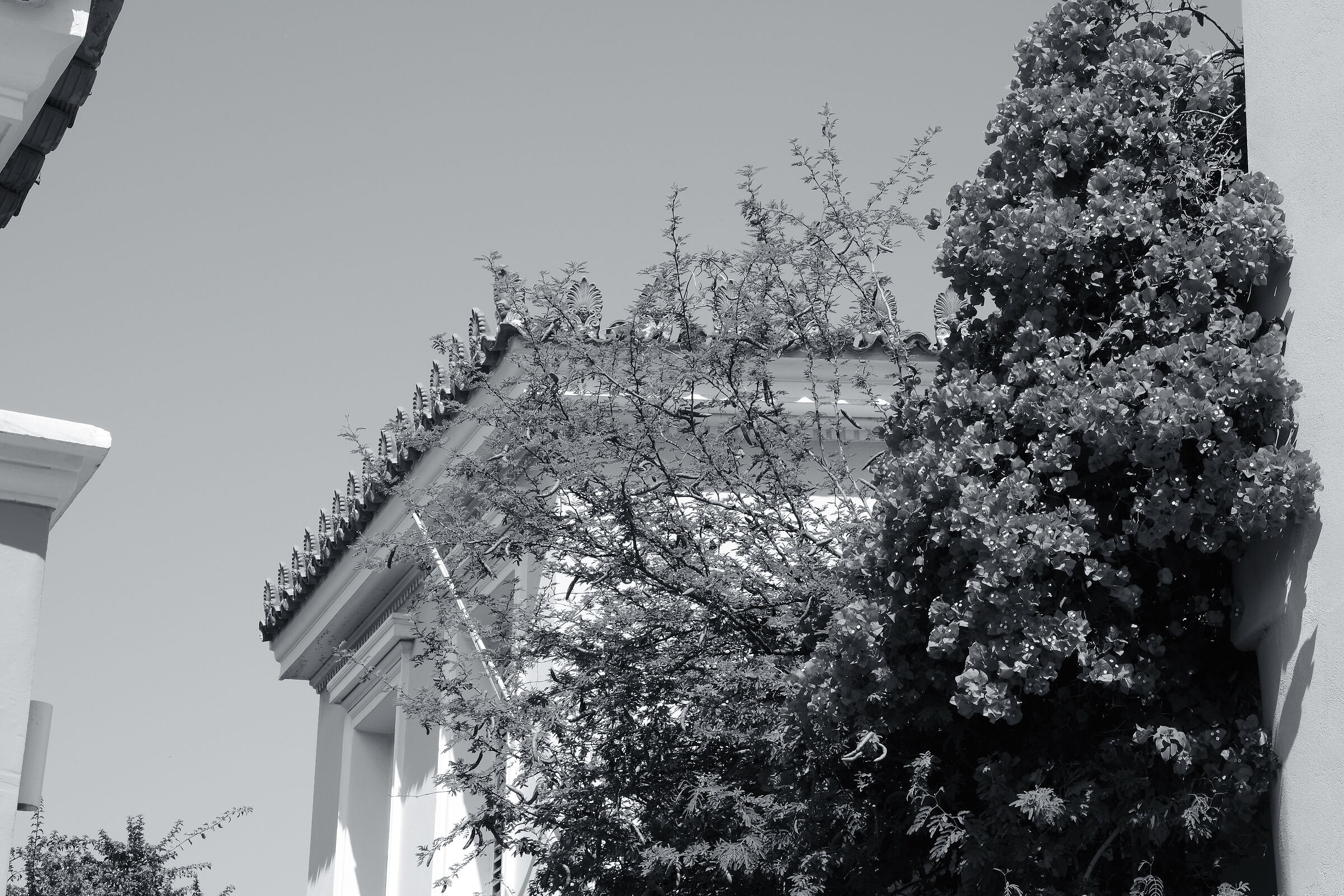 Athens