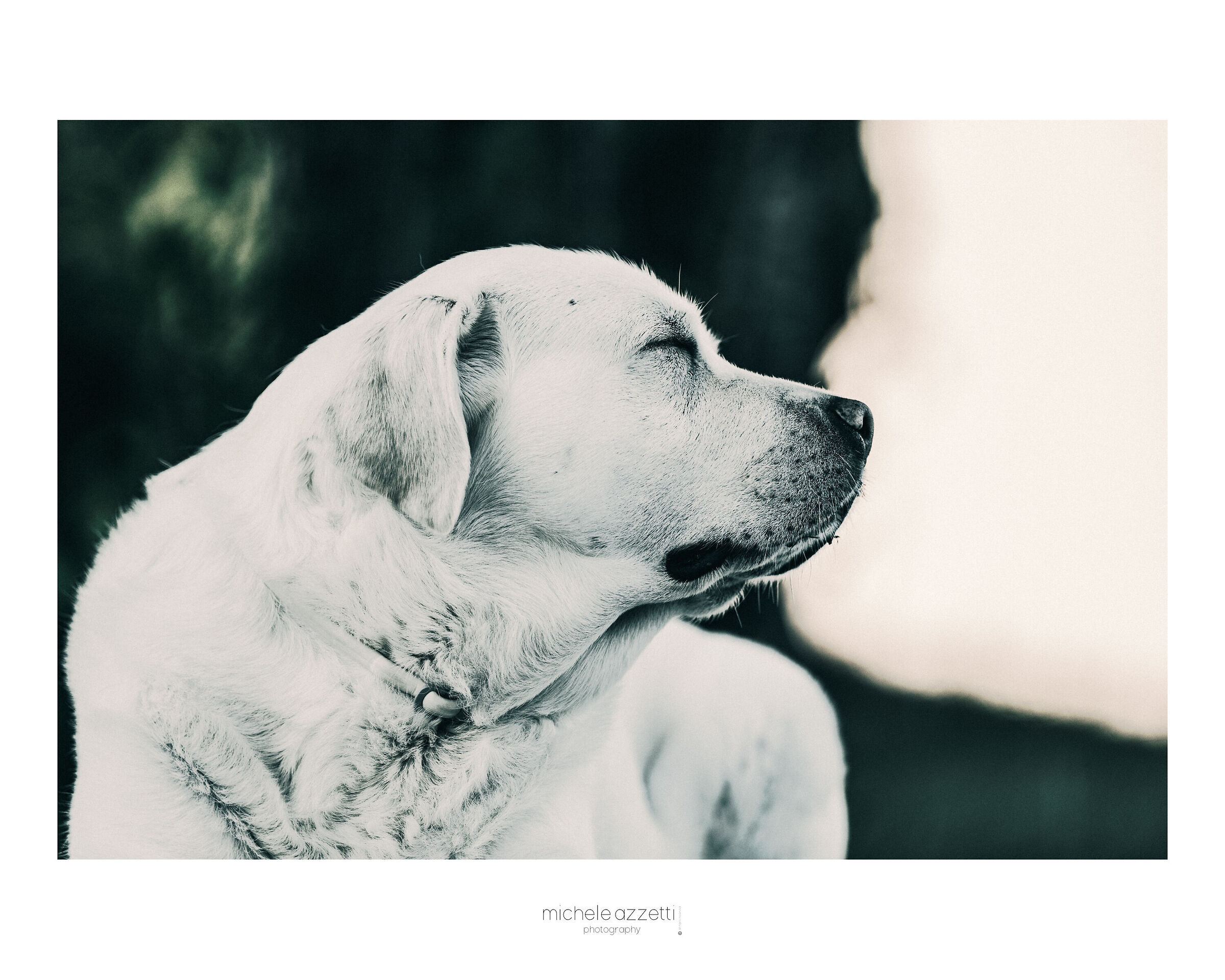 Martina