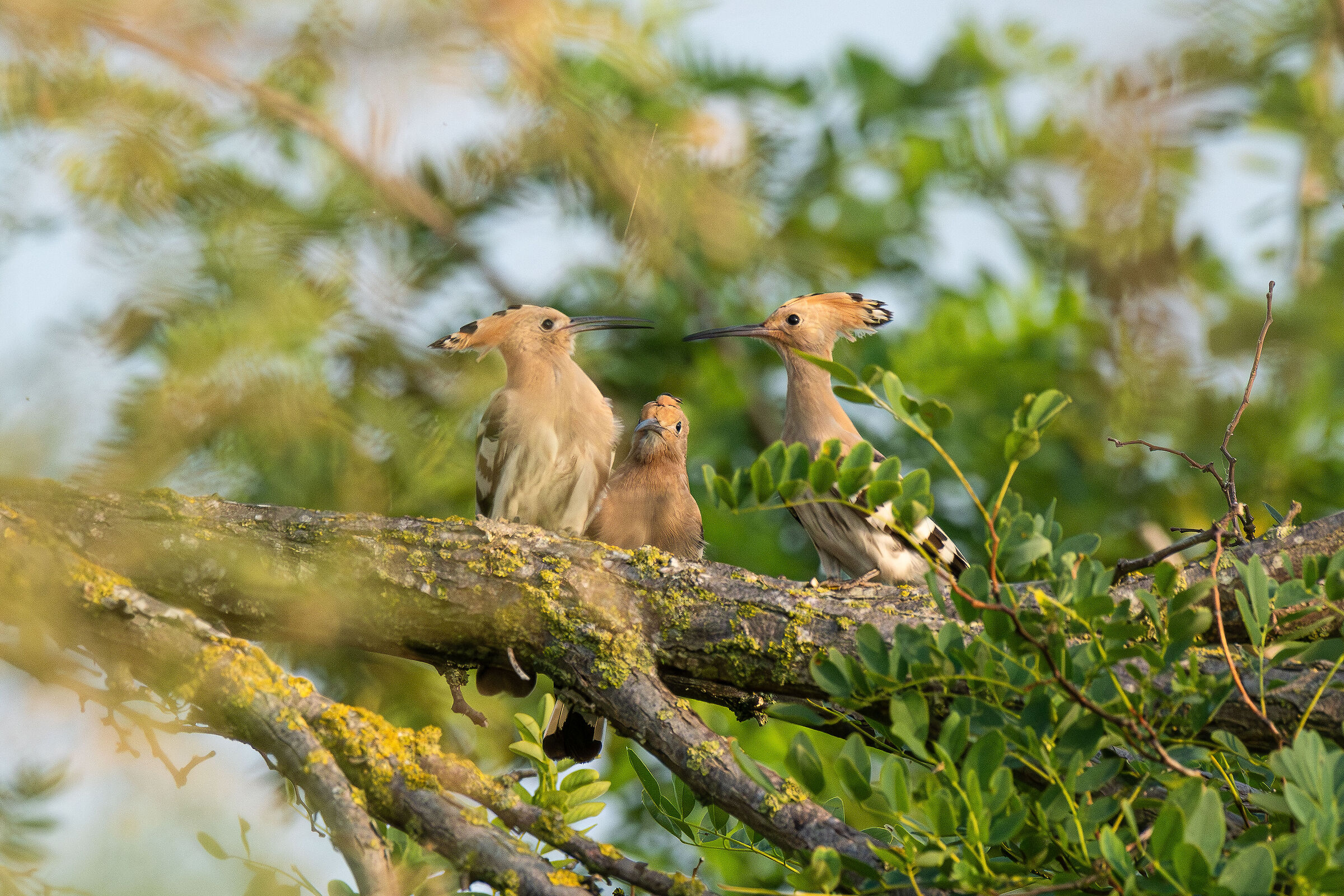 Riunione di famiglia