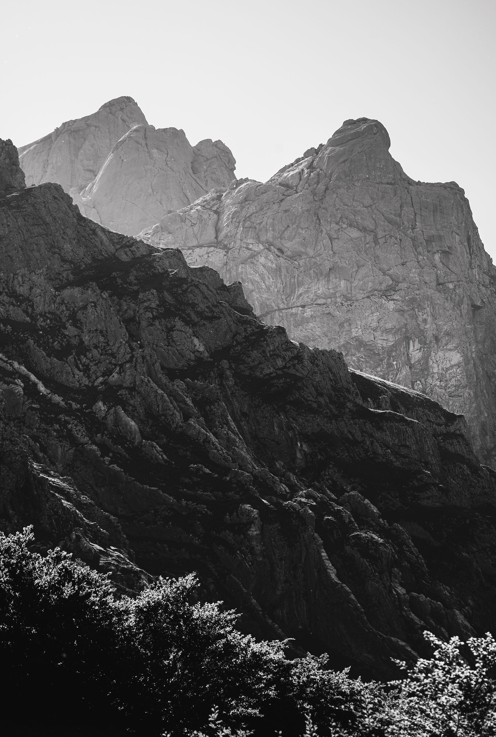Verso l'alto