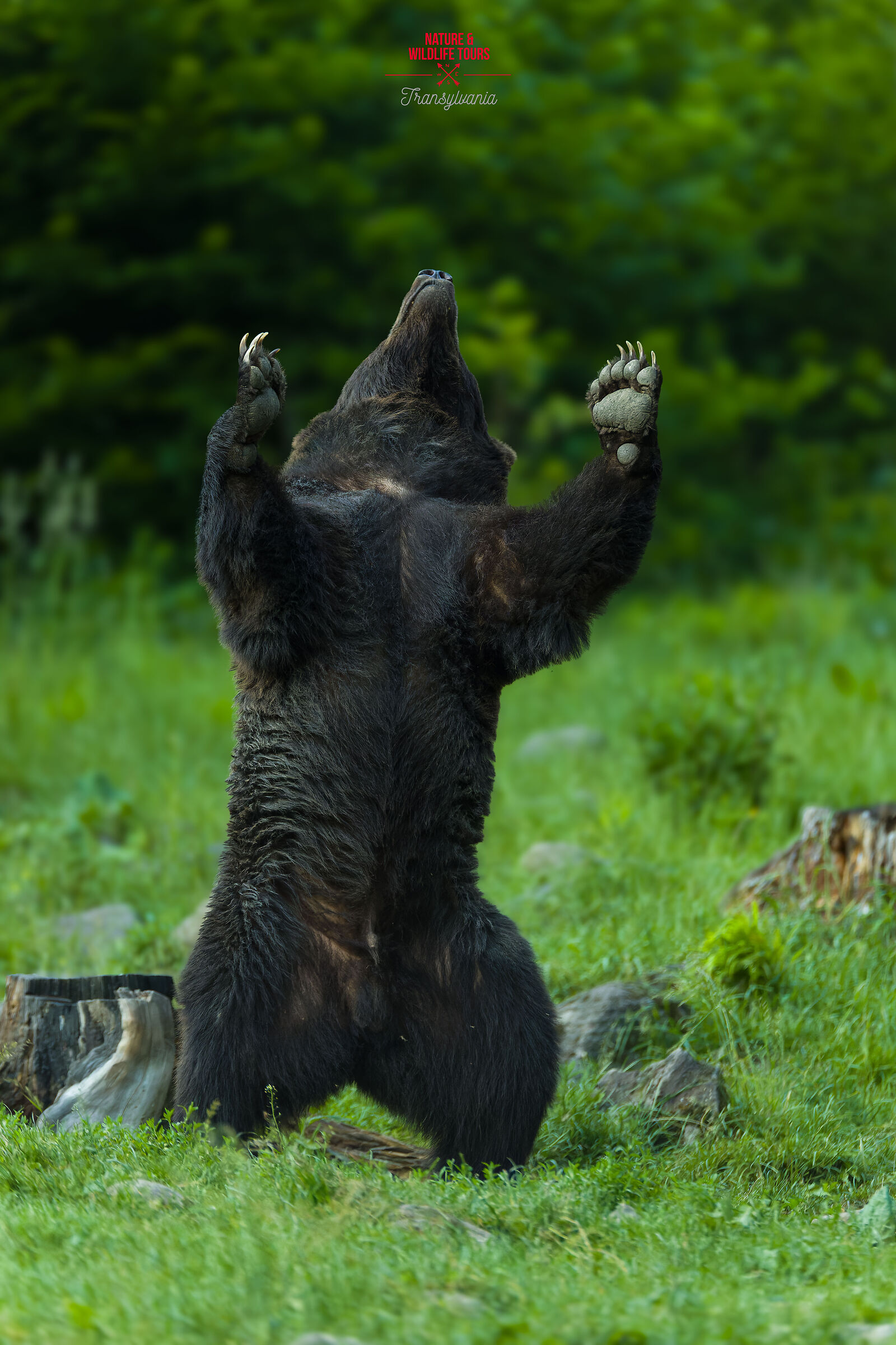 Please God, give us the rain!