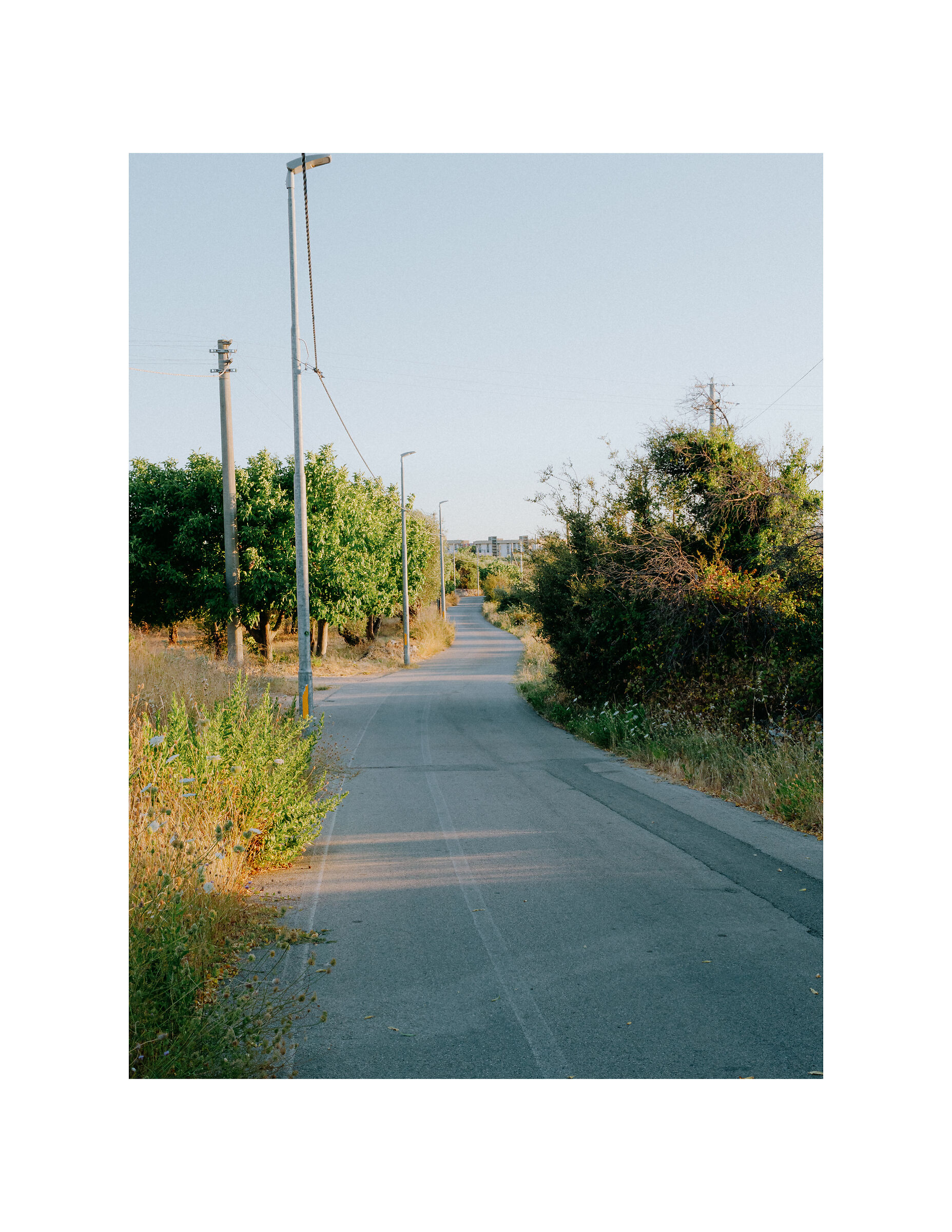 Along the way