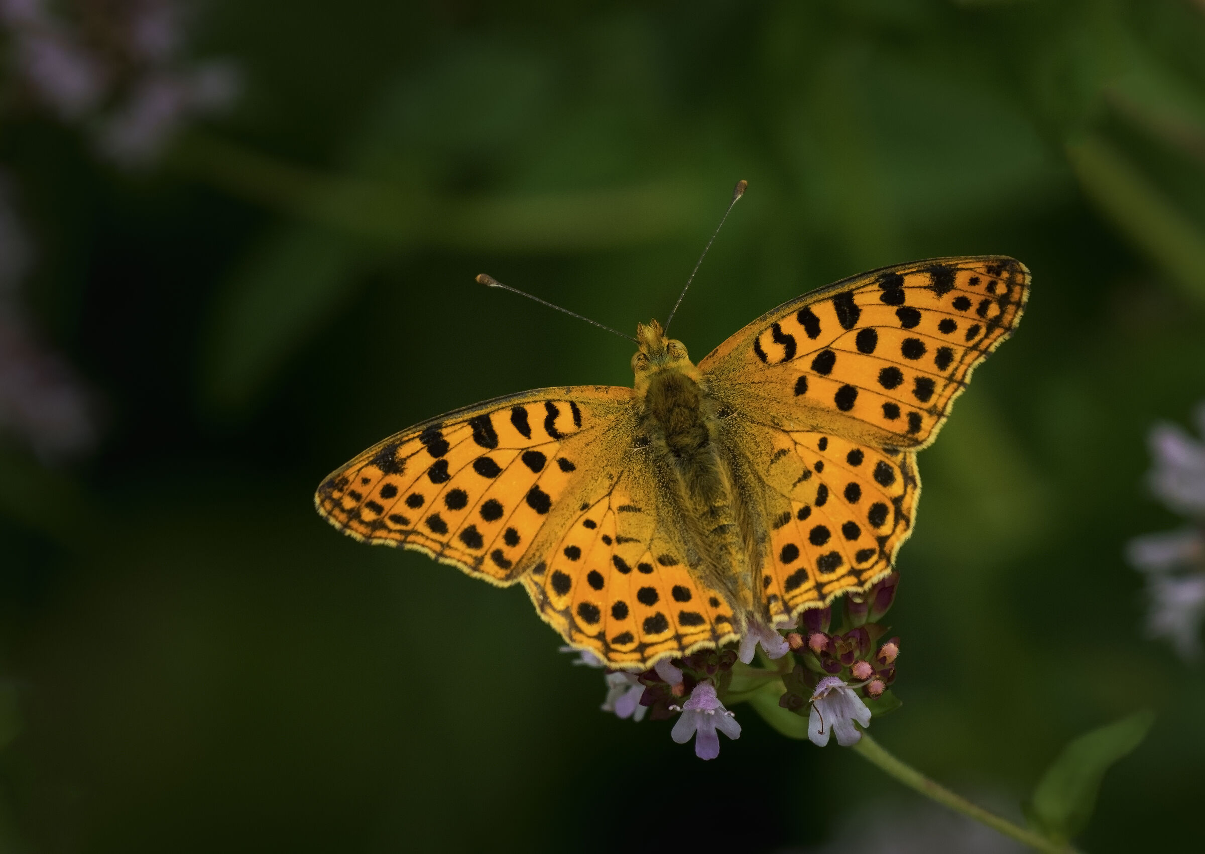 The colour of warmth