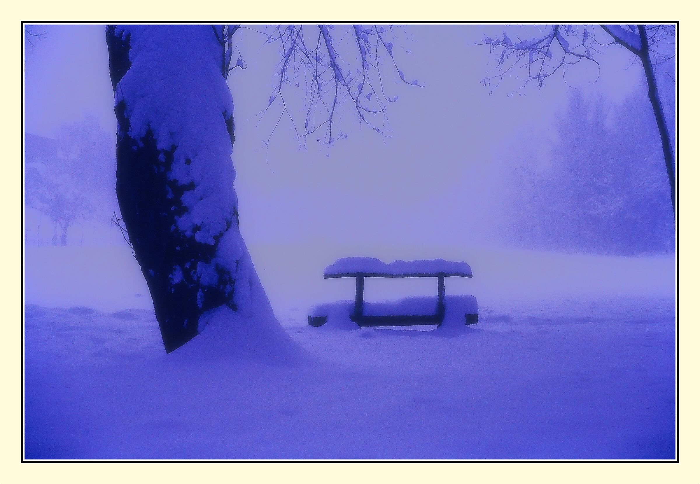 Sera di neve