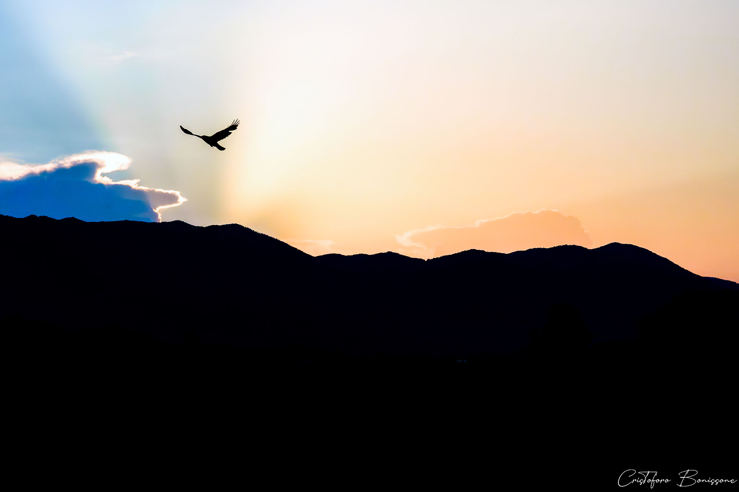 Tramonto sulle ali di un corvo