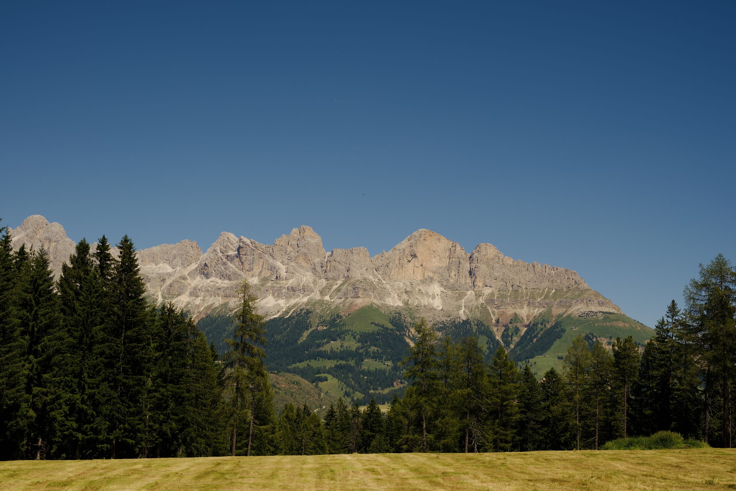 Roda di vael- guppo del catinaccio