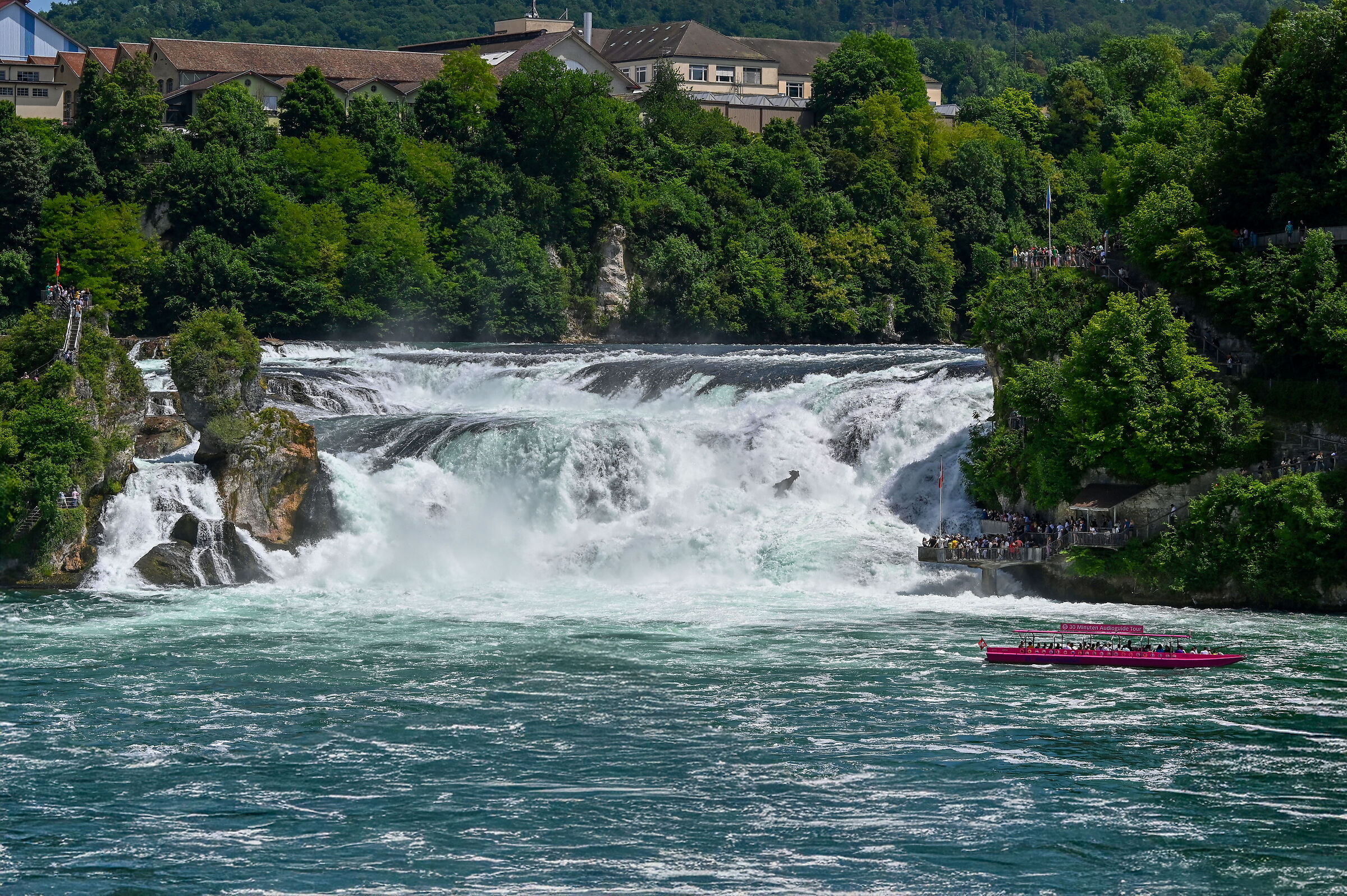 Schaffhausen Waterfalls