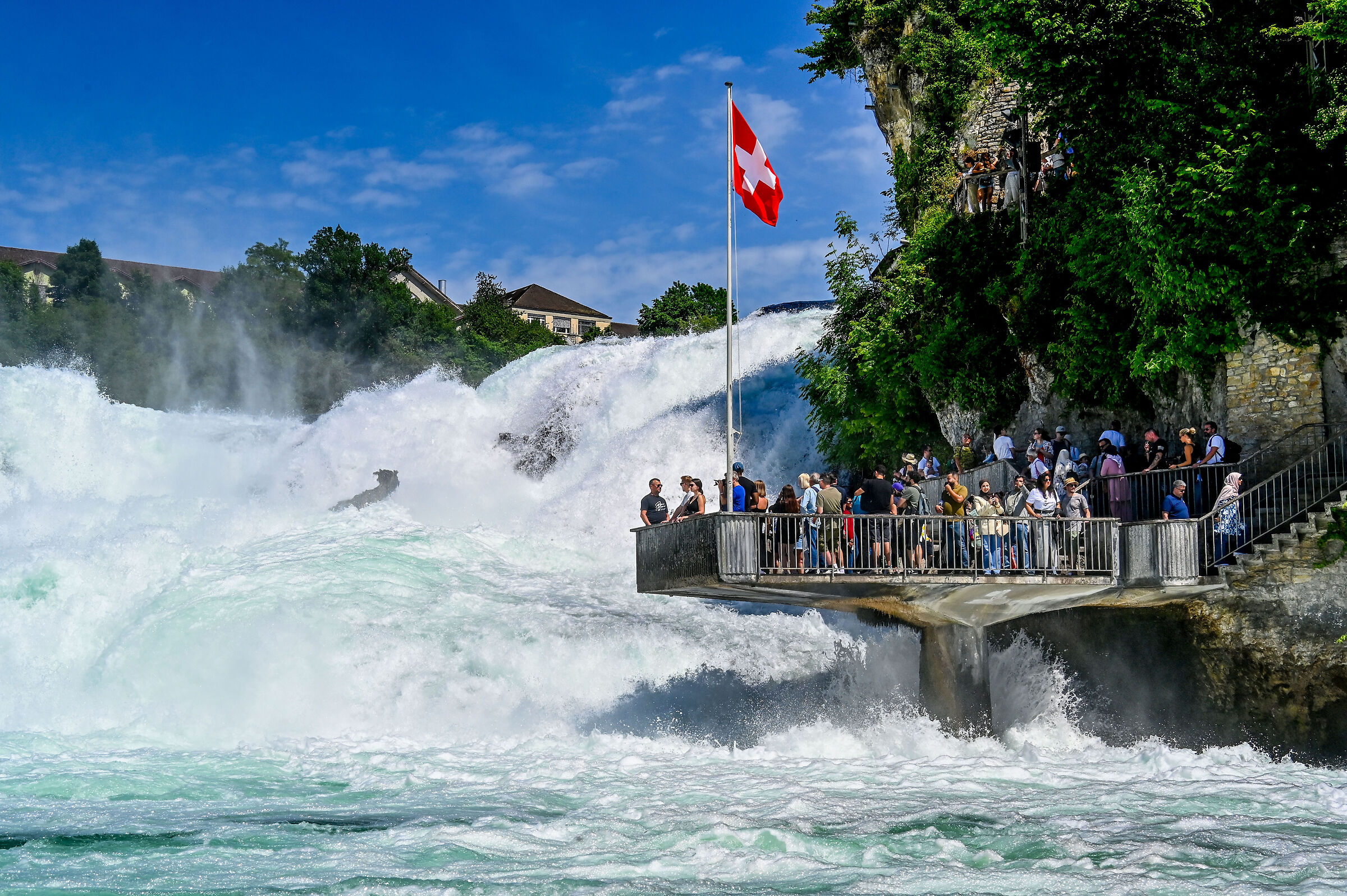 Rhine Falls