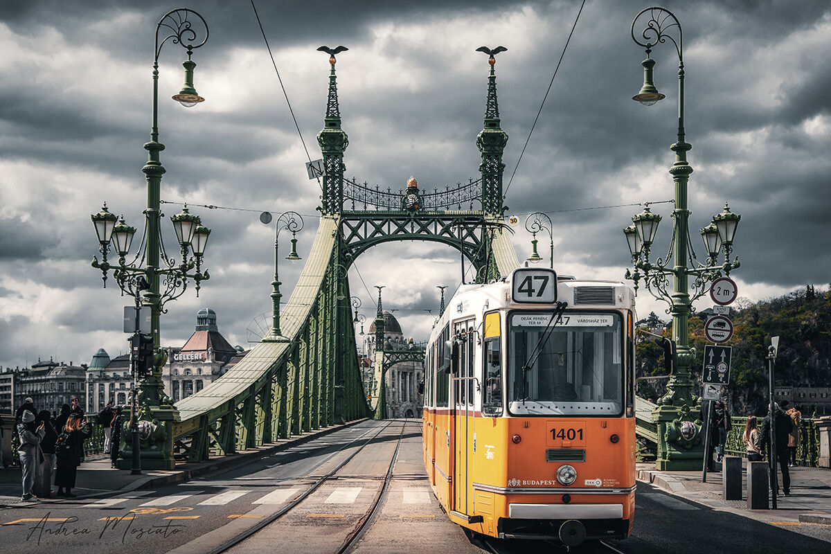 Szabadság híd - Budapest (Hungary)