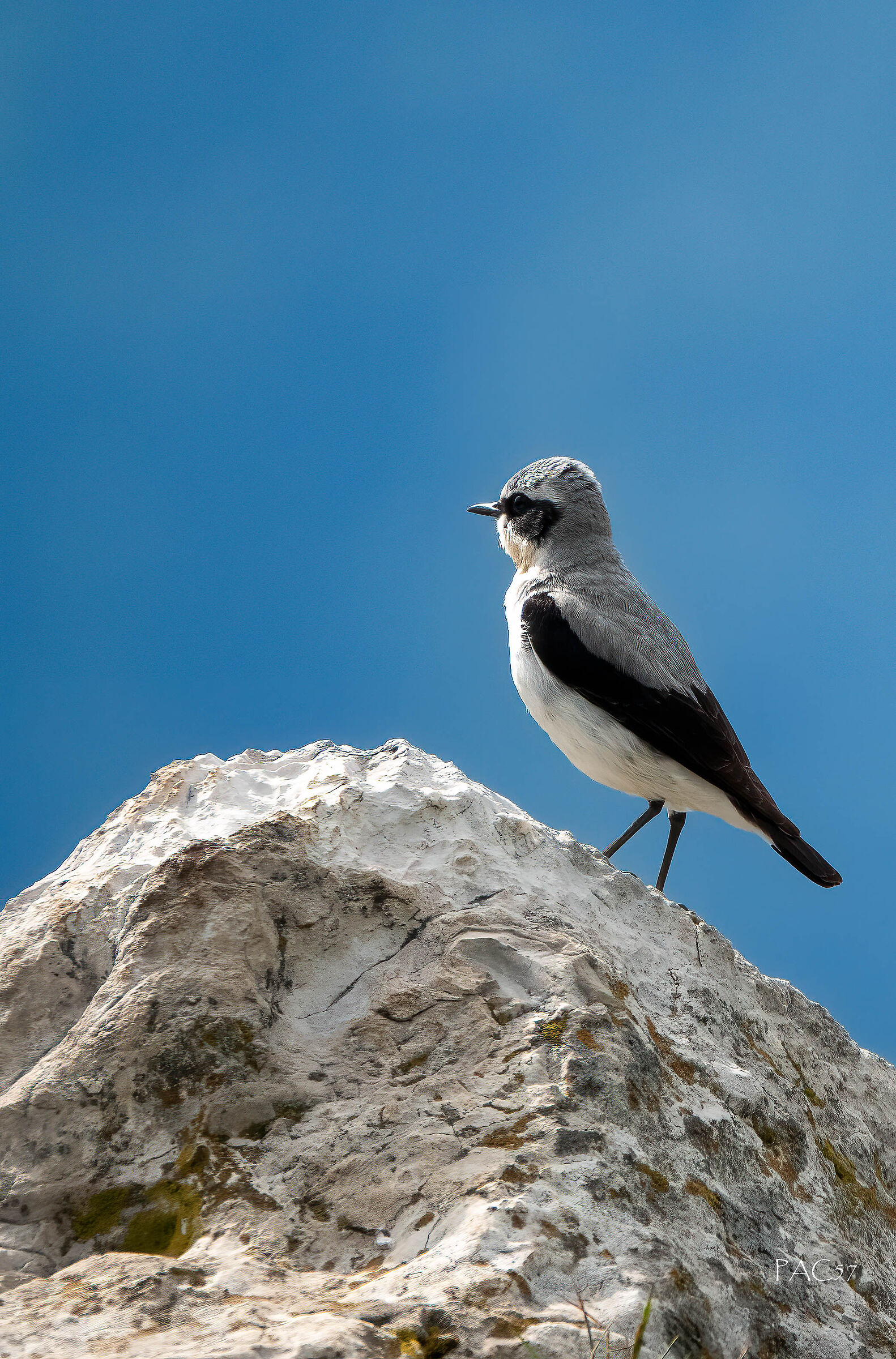 Culbianco - Alpi bresciane Bagolino