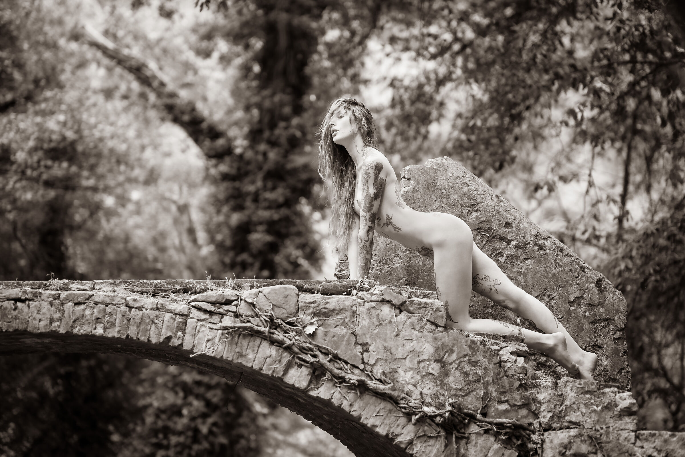 Barbora