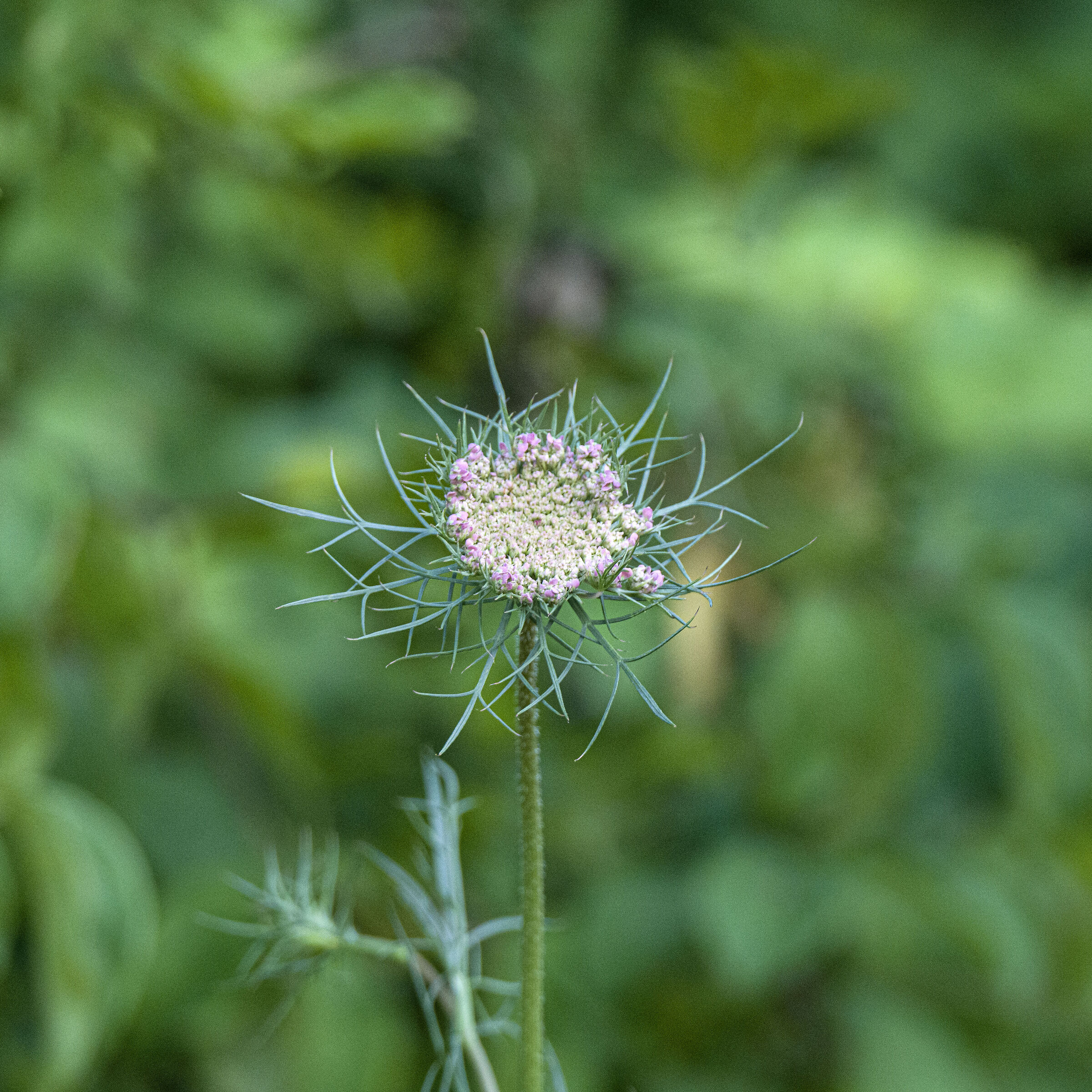 Untitled Photo