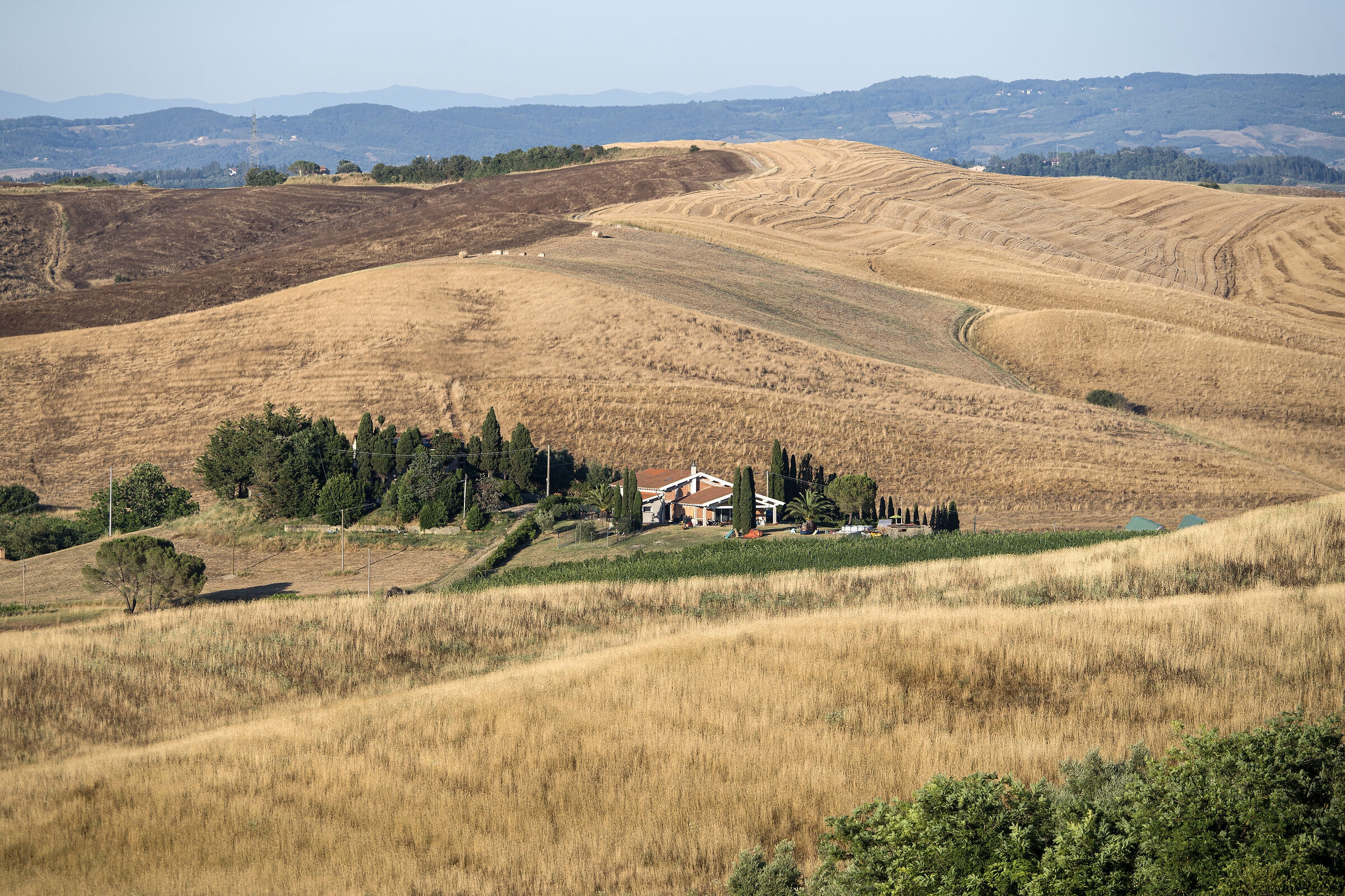 Tuscan summer landscape