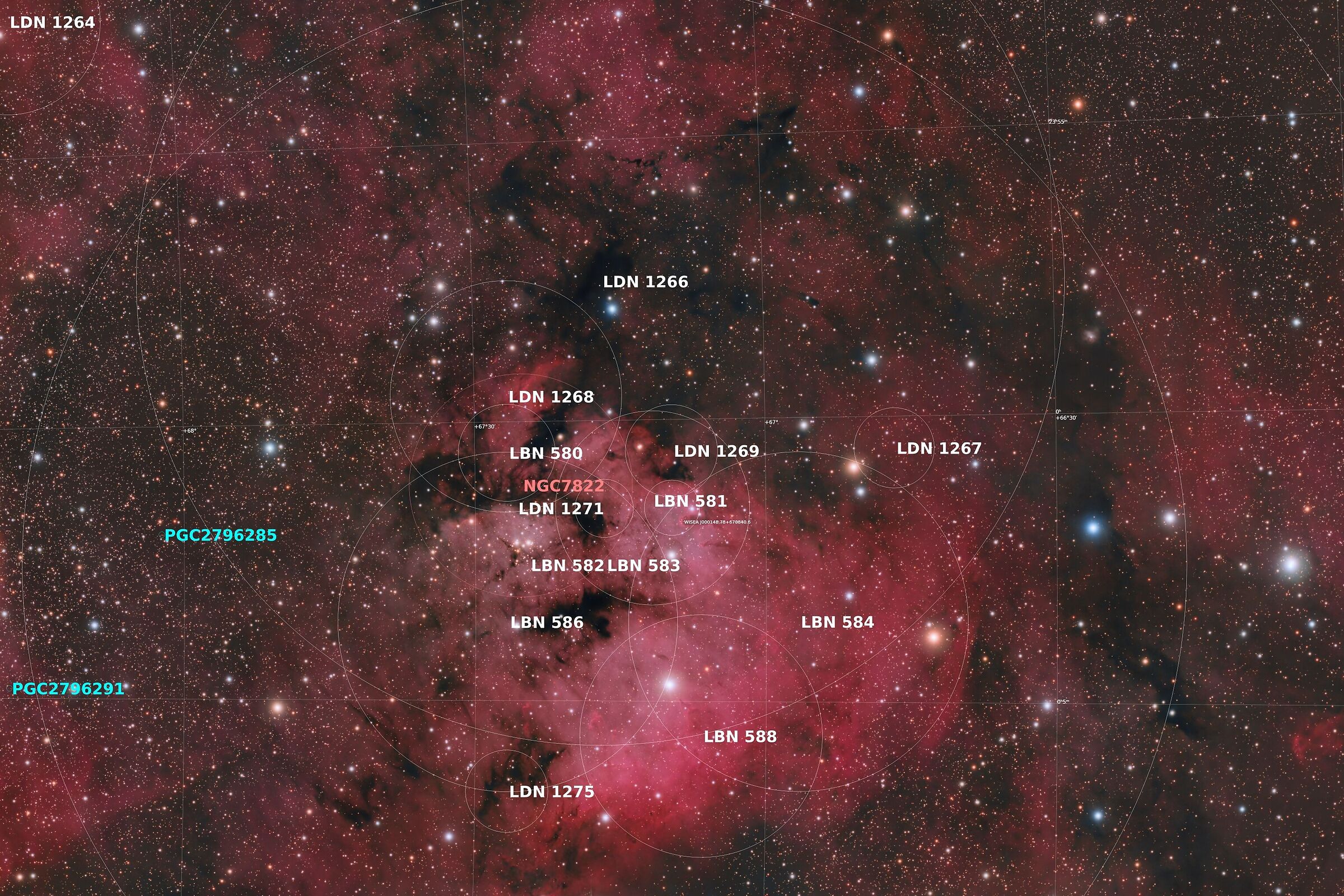 Nel regno delle oscure