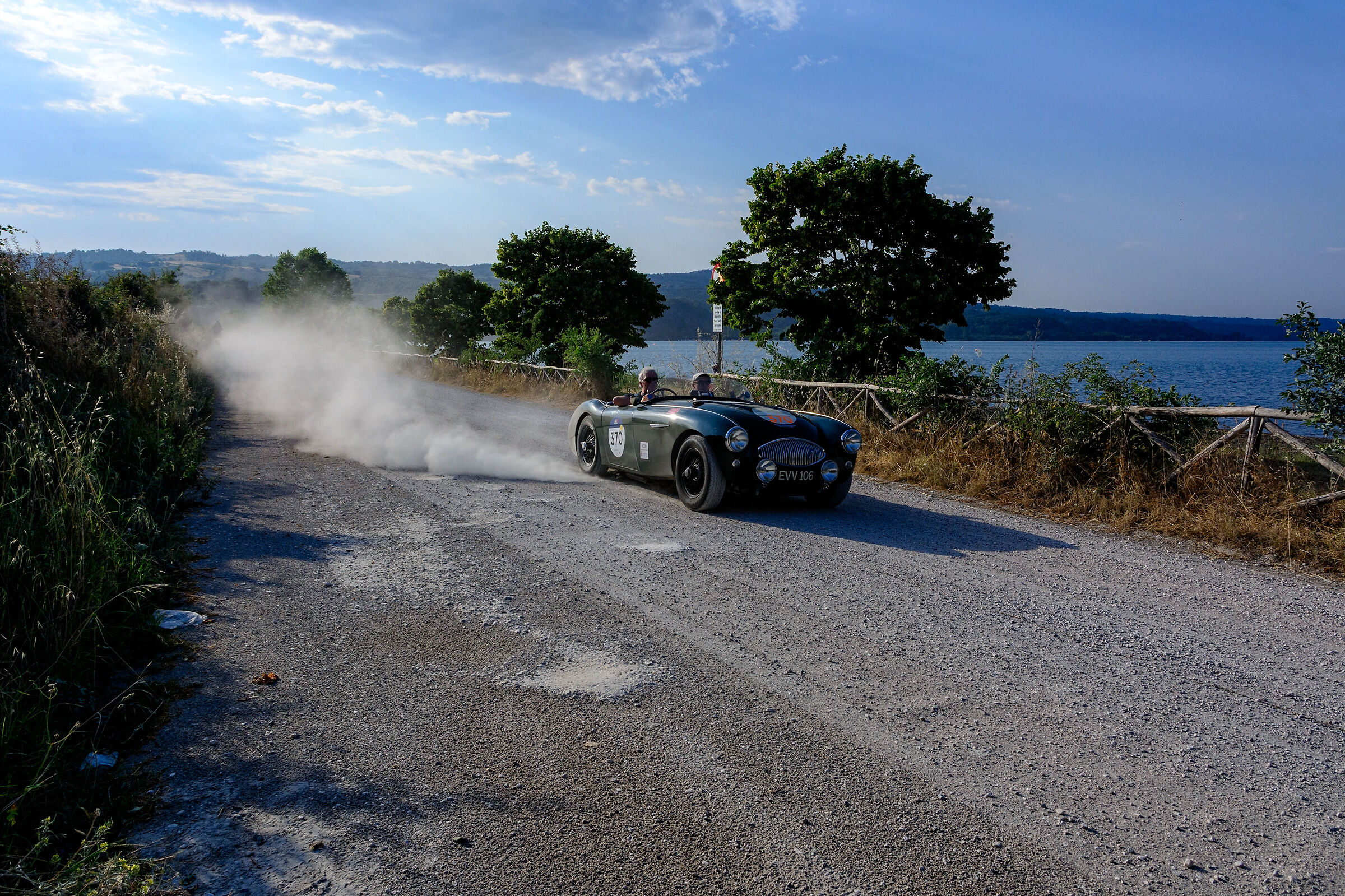 Jones/Cotton - Austin Healey 100s - Capodimonte