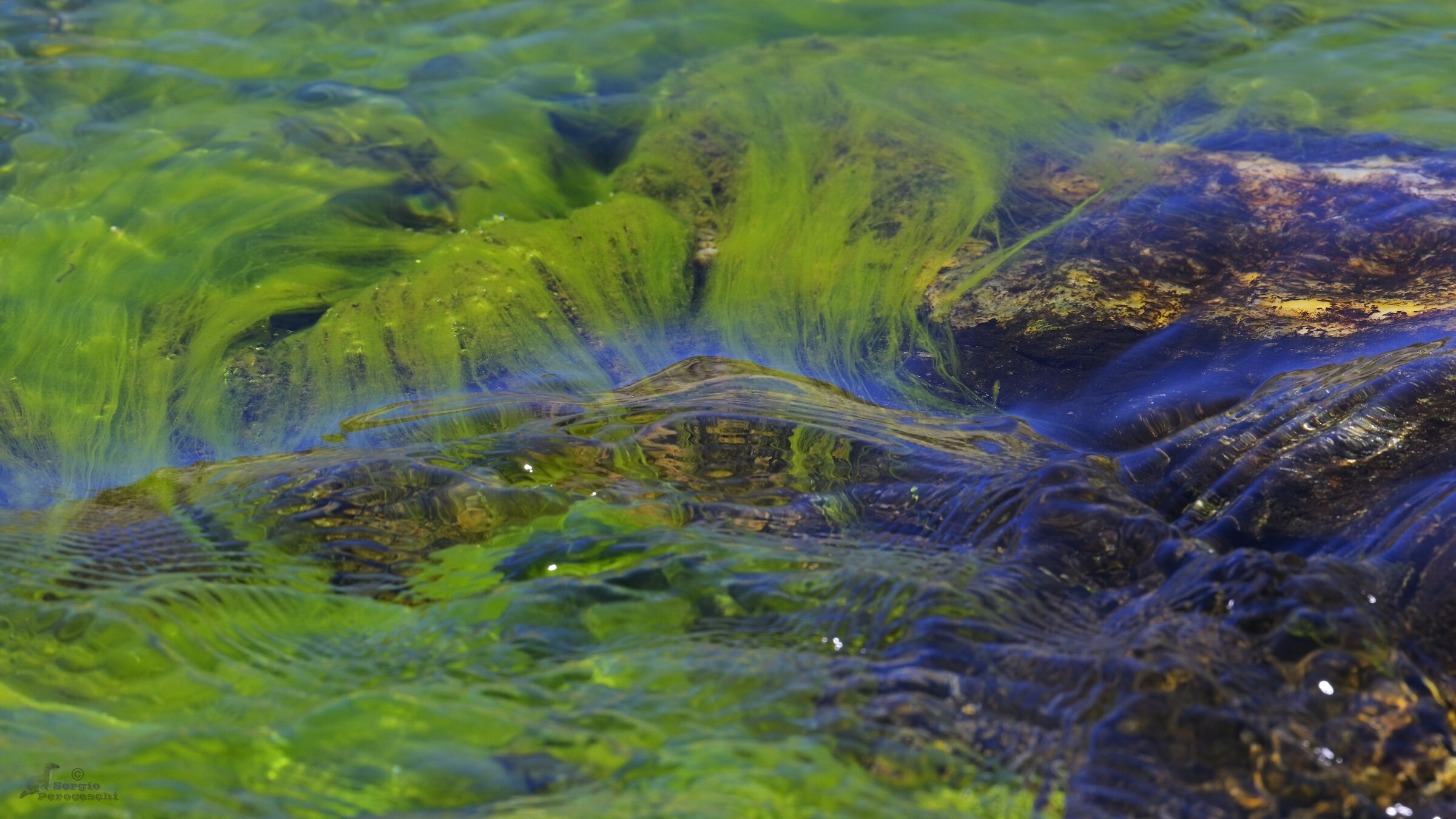 A play of light and colour in a mountain stream