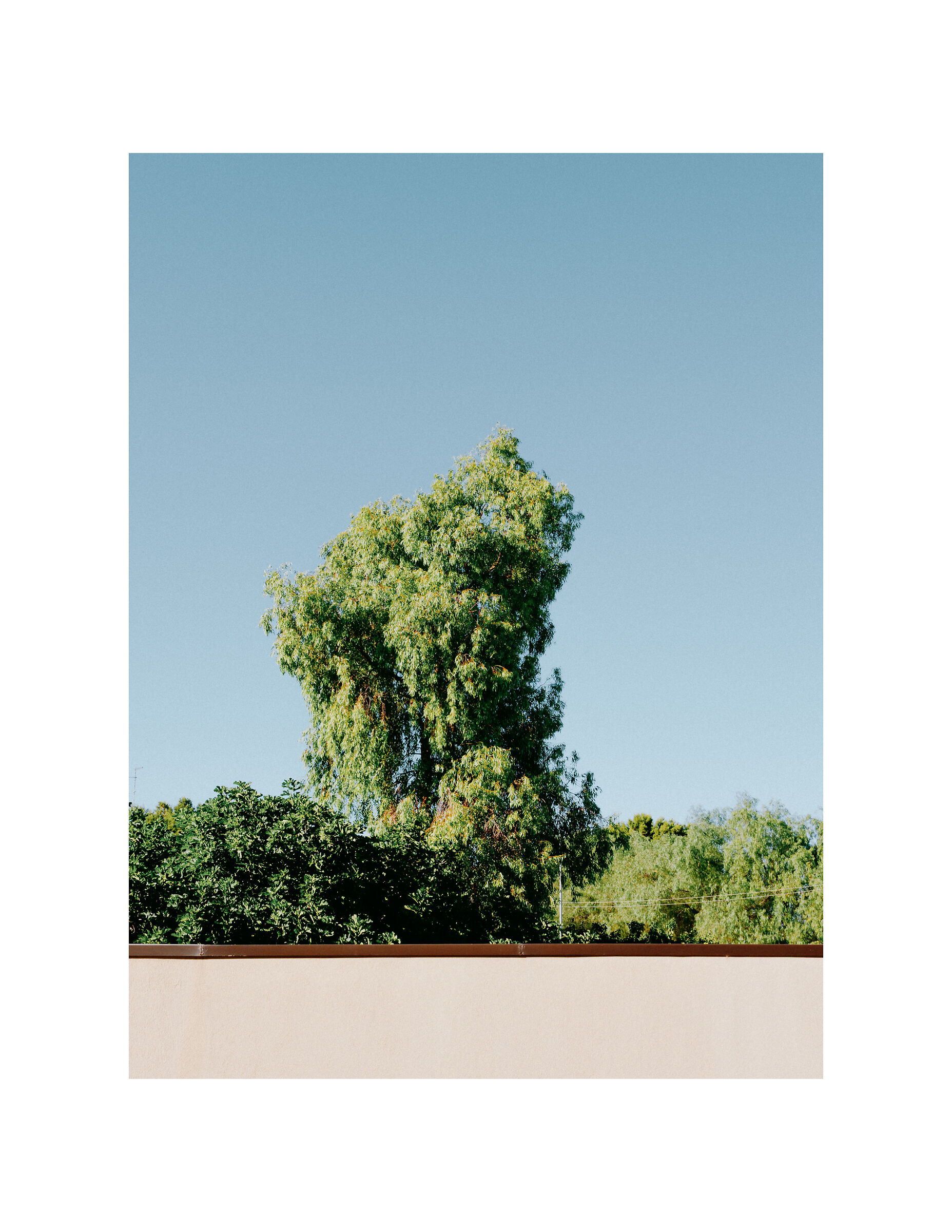 color estate