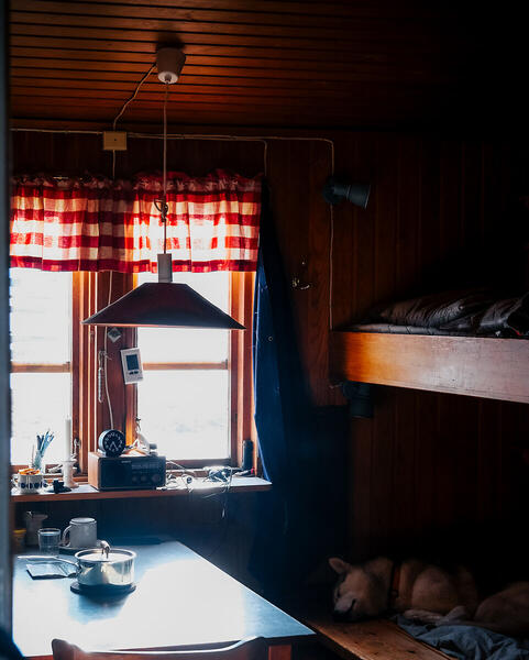 Foto