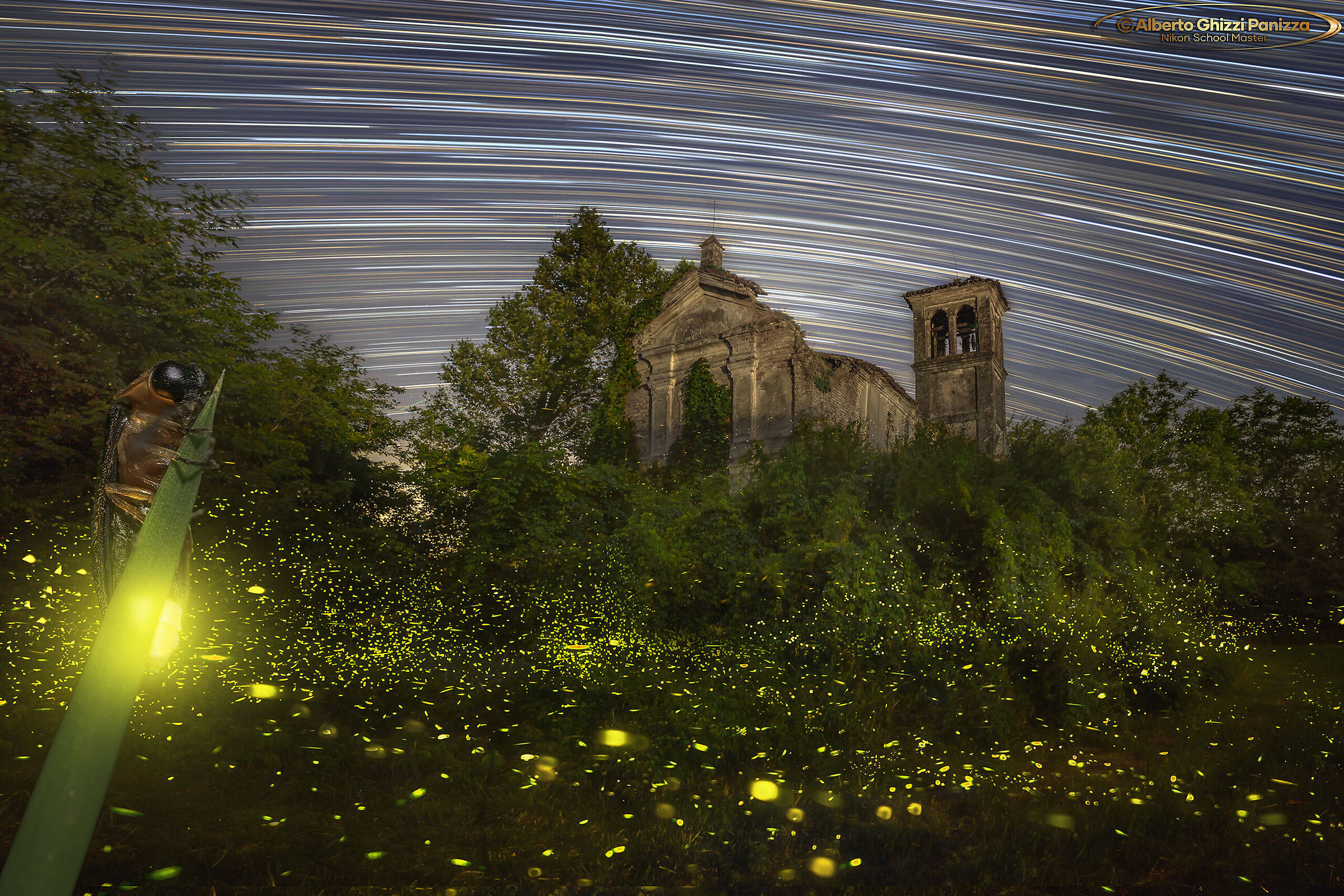 Fireflies around the abandoned parish church