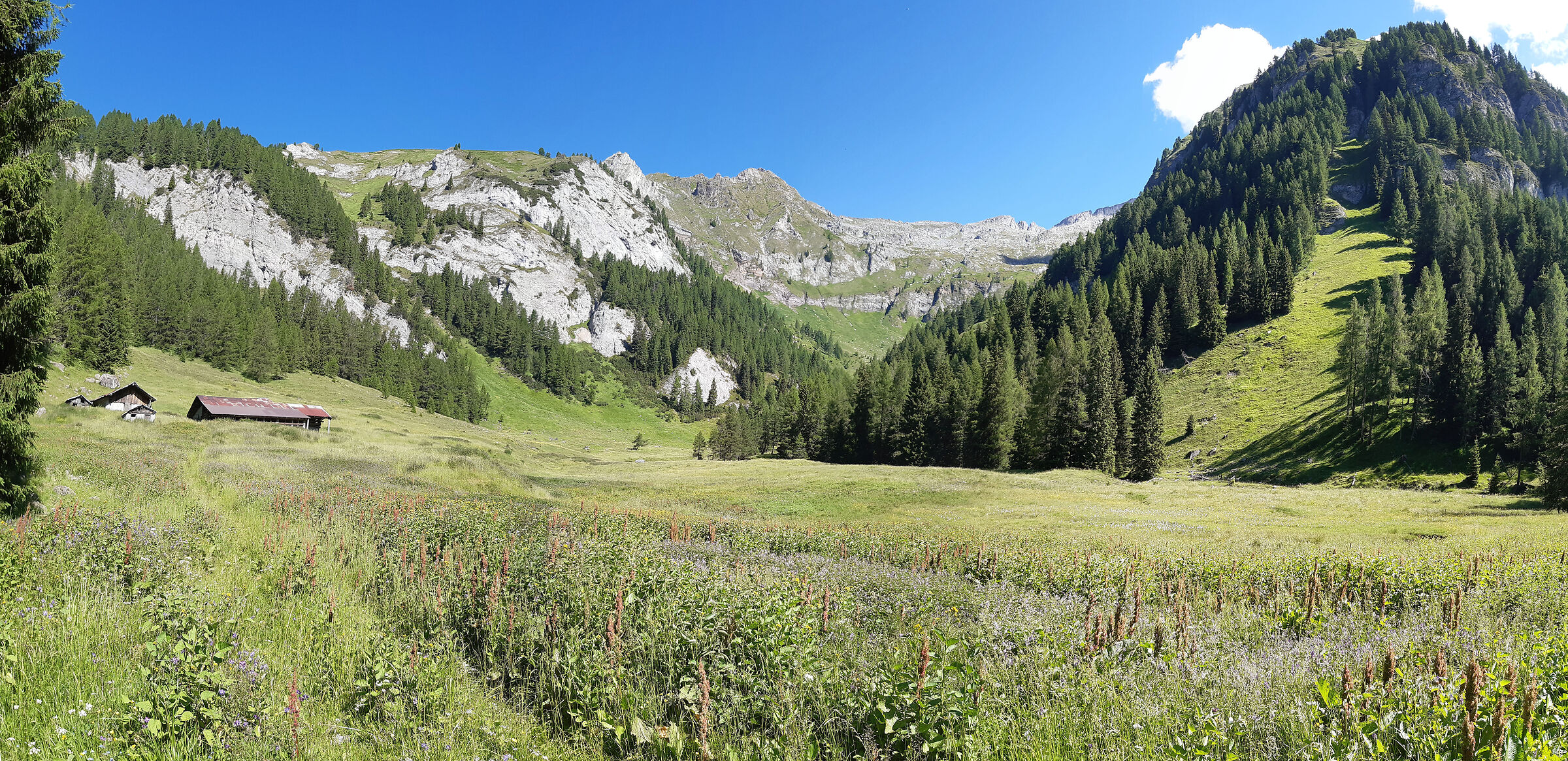 Malga Valbona_Valle di Daone_Trentino