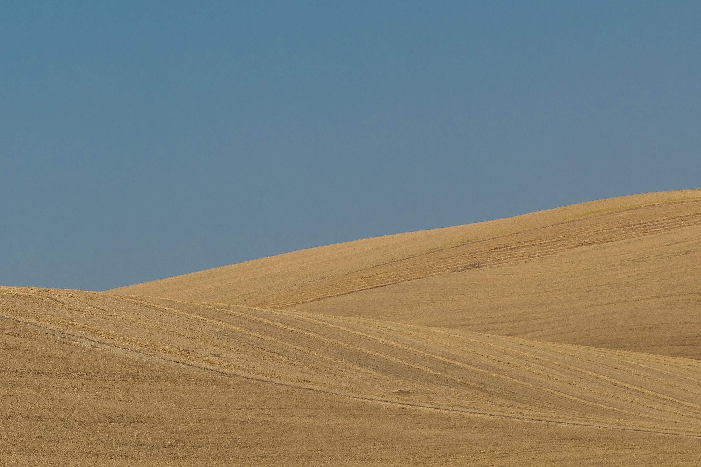 Dunes - Basilicata 2025