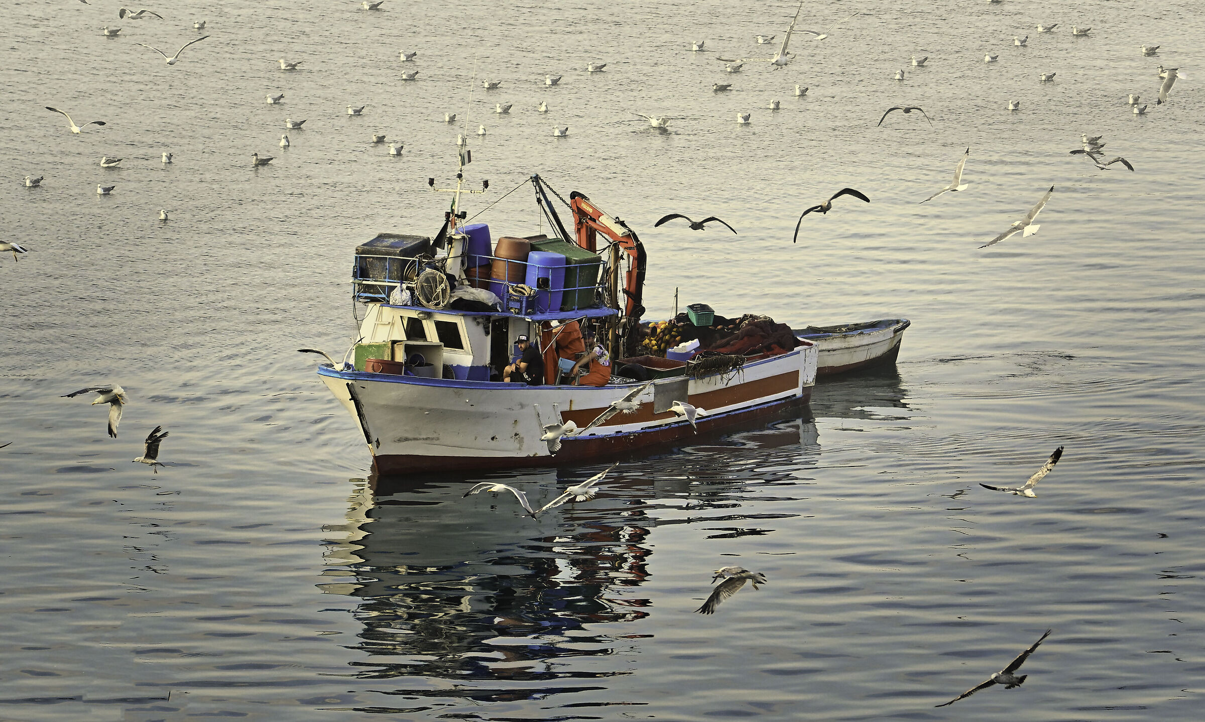 Rientro nel porto
