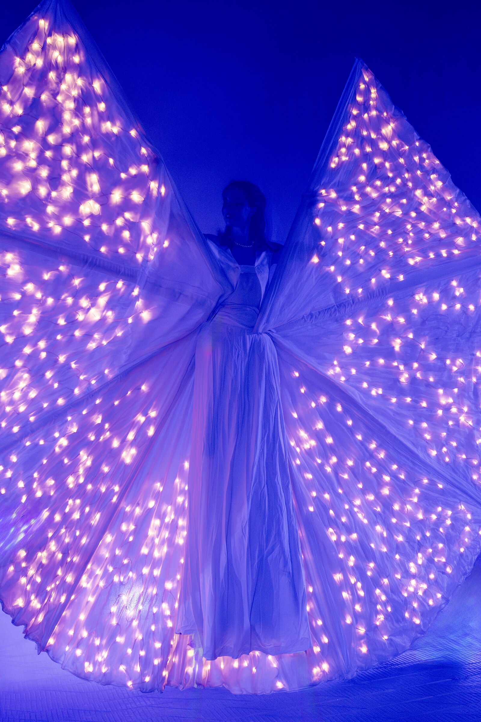 Shakespeare's Tempest