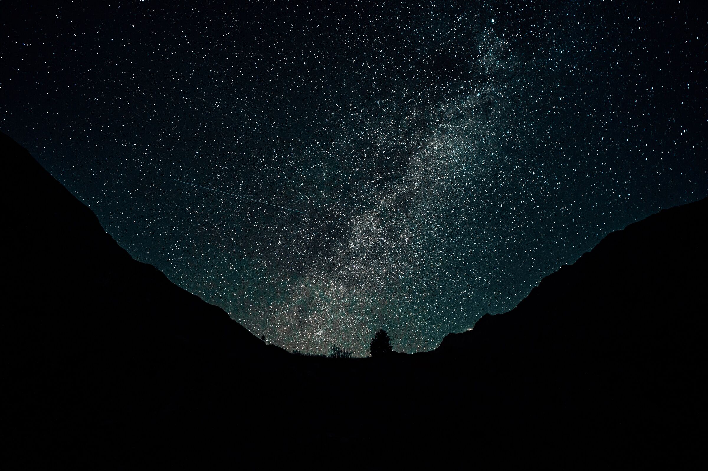 A tree under the galaxy