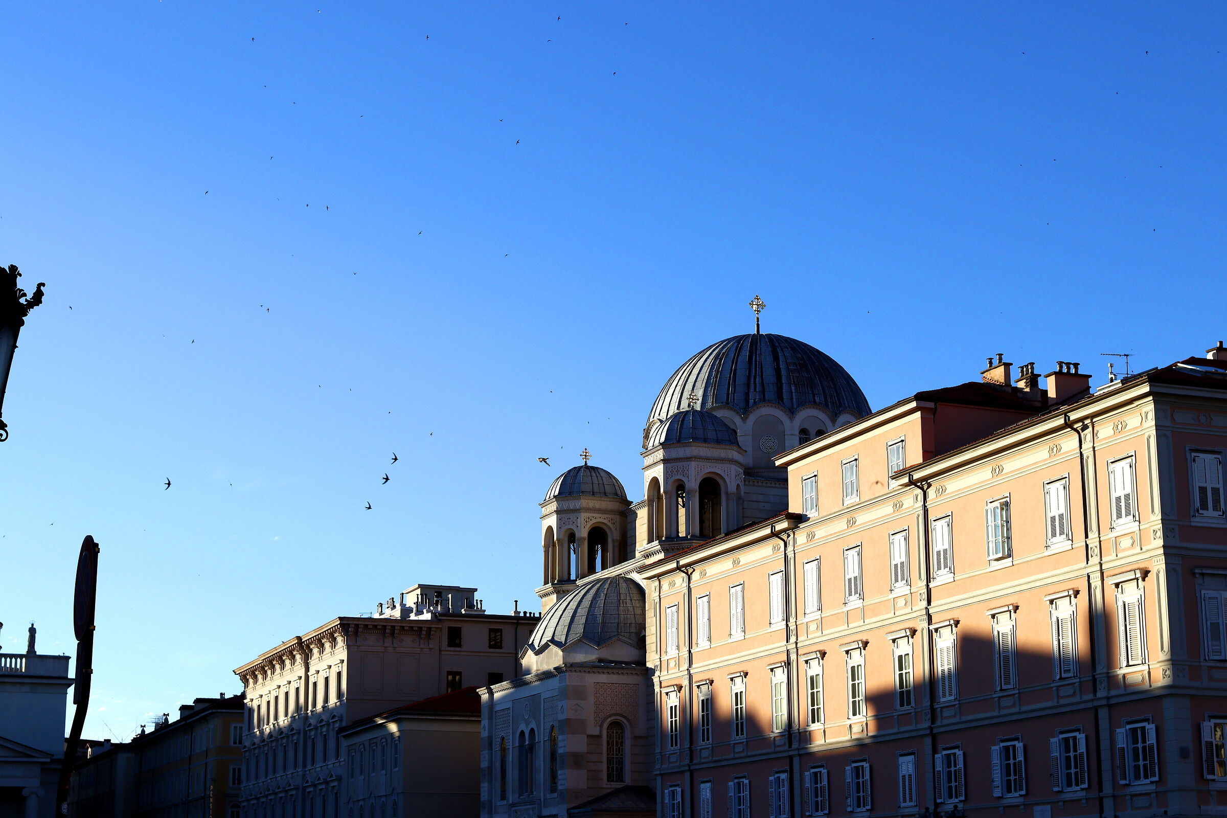 rondini attorno alla chiesa