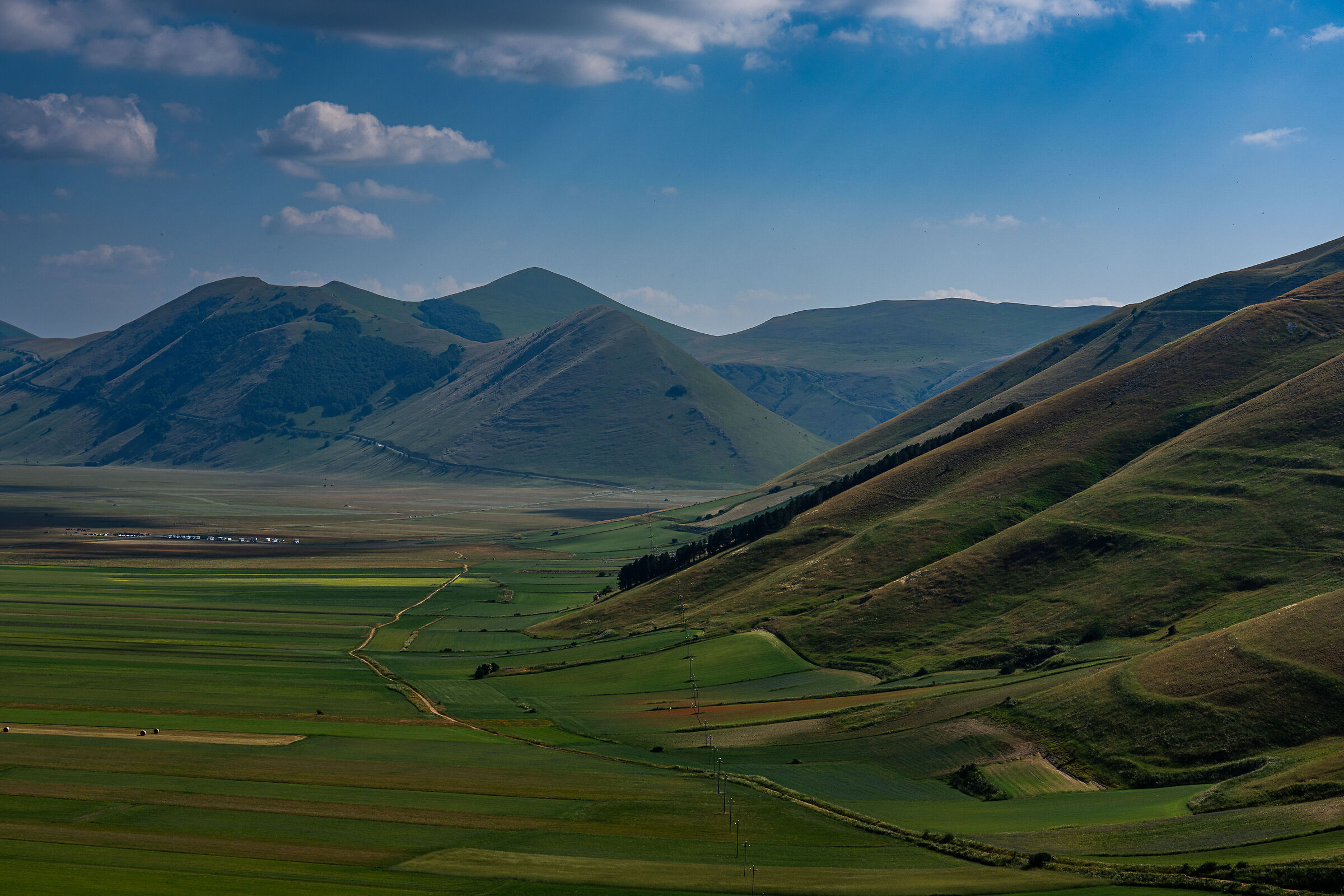 Castelluccio, 24 giugno 2025 - Pian grande