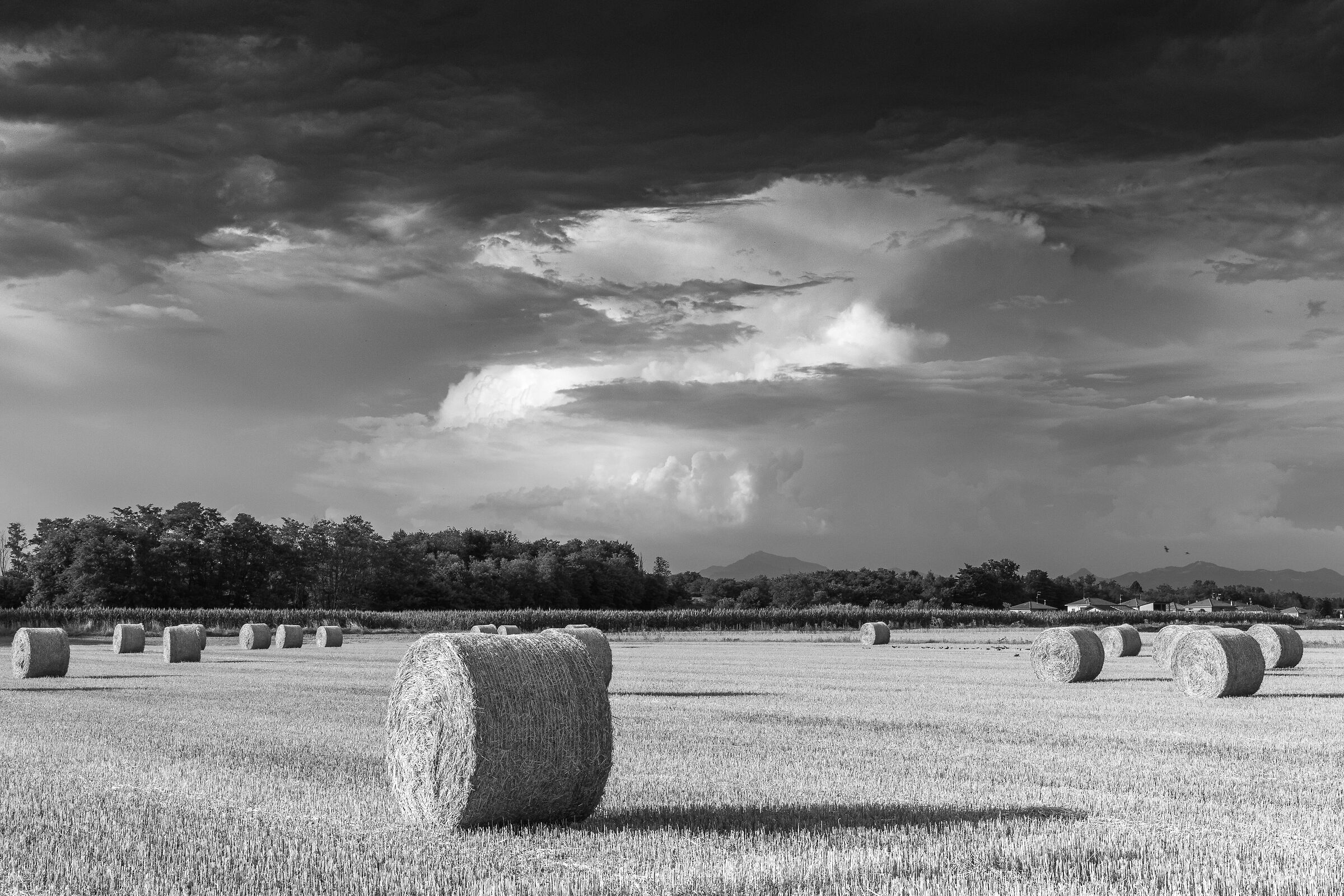 Fields in the Oloma Valley