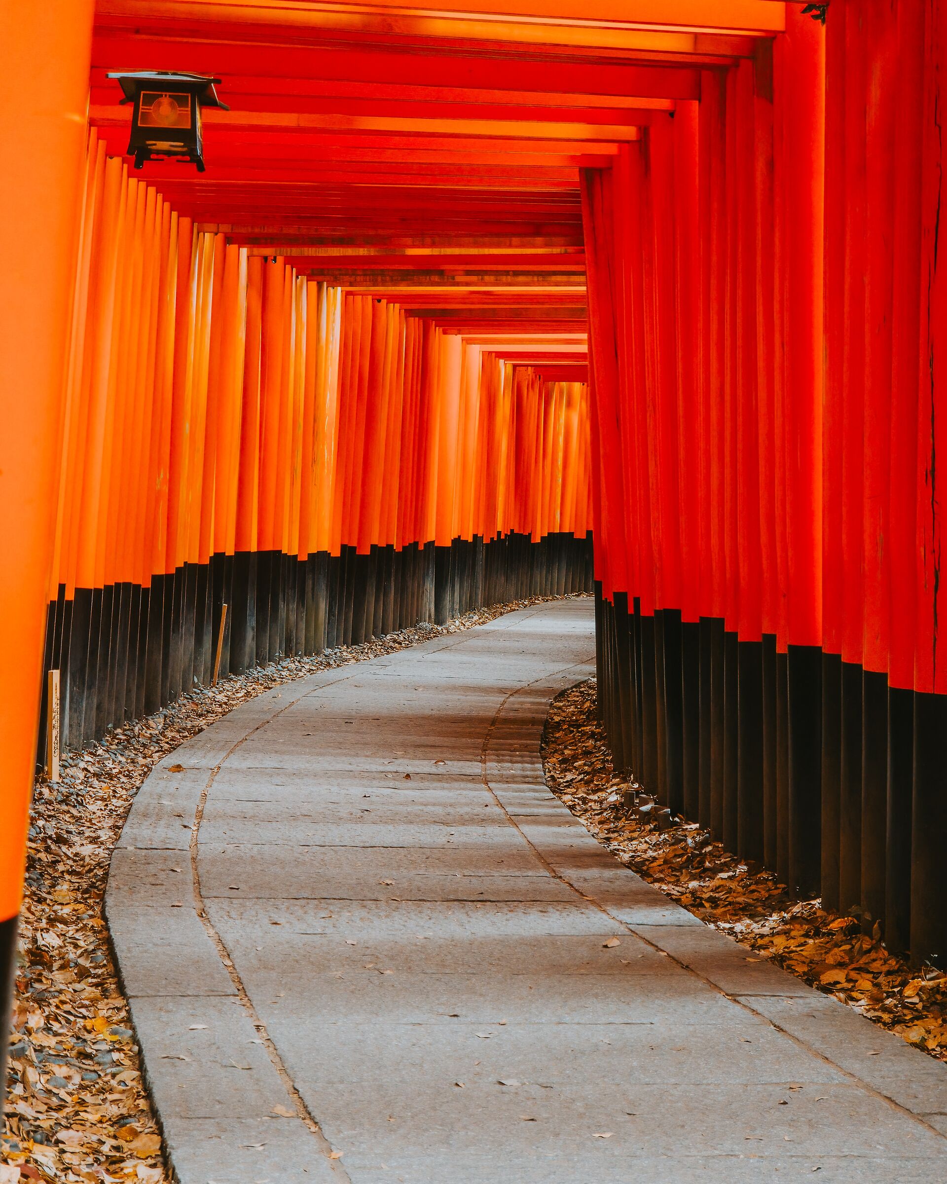 Fushimi Inari