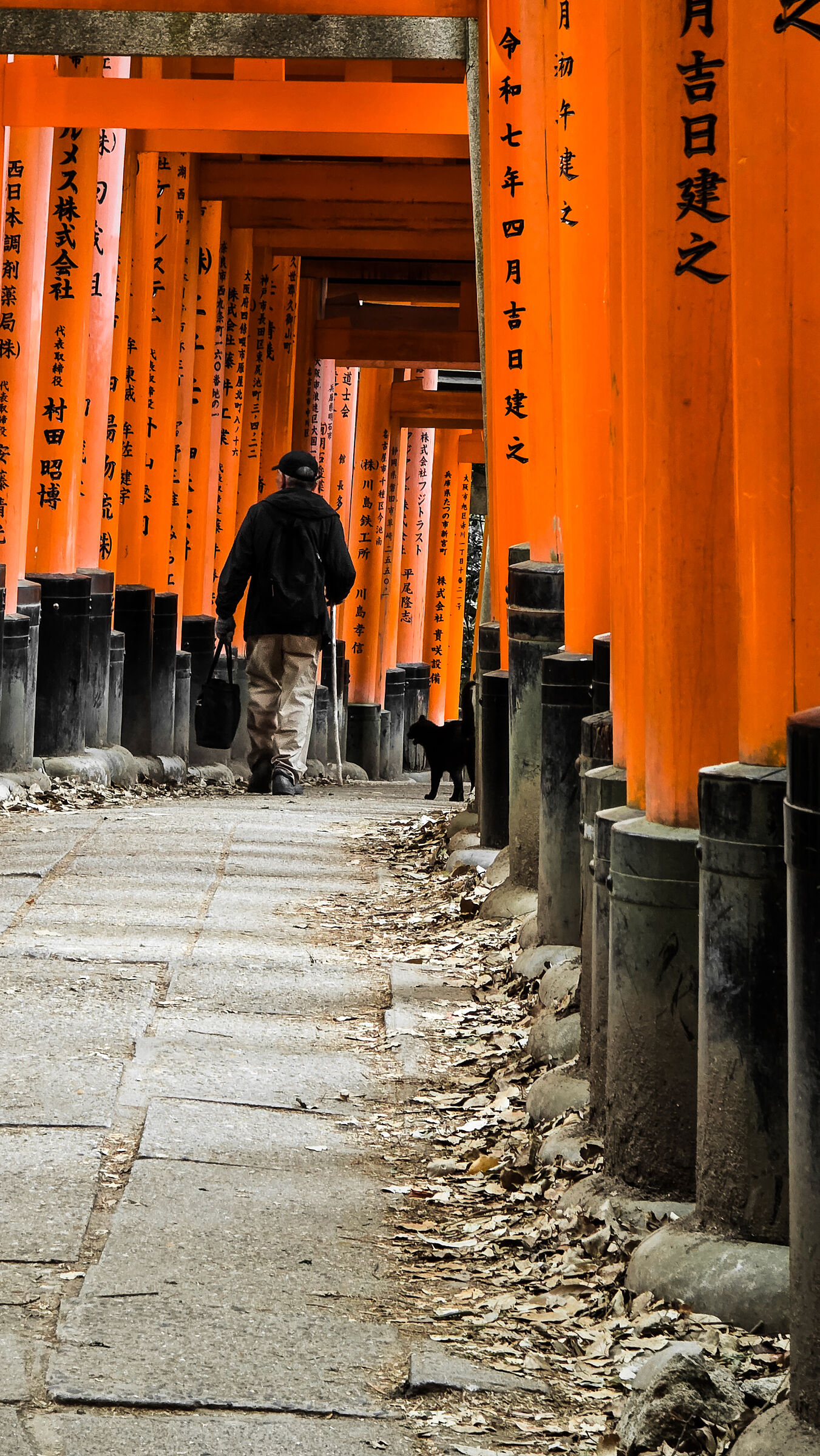 Fushimi Inari