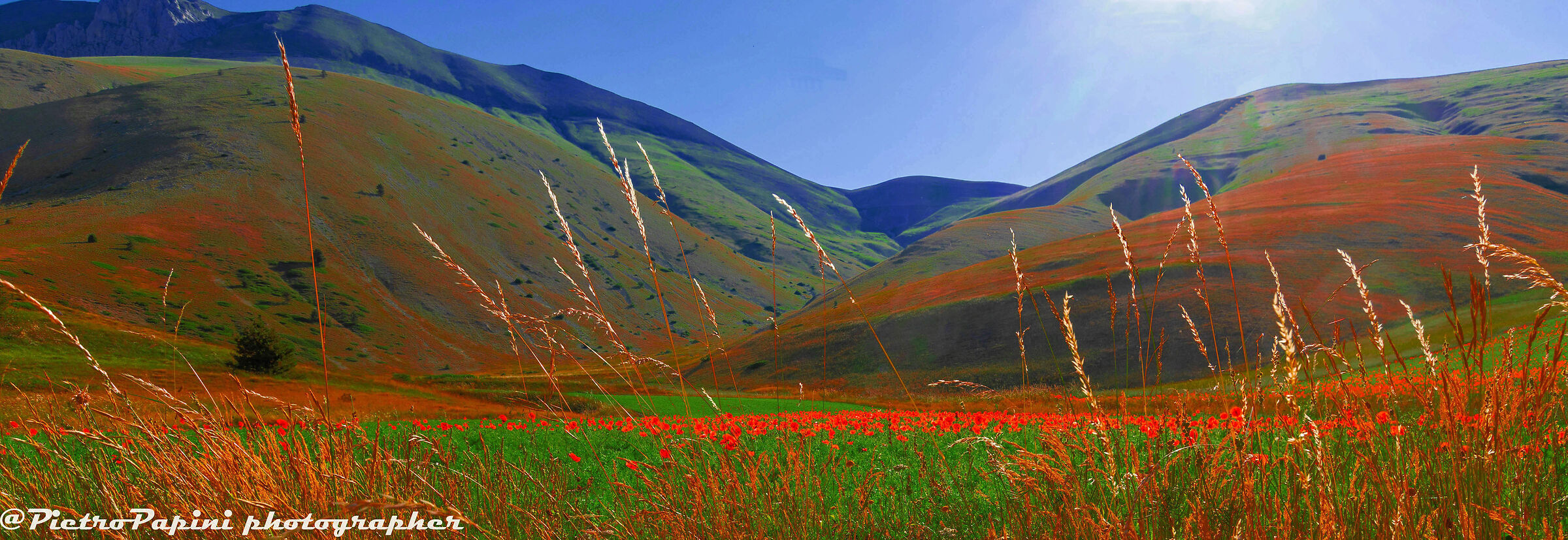 Castelluccio 2025