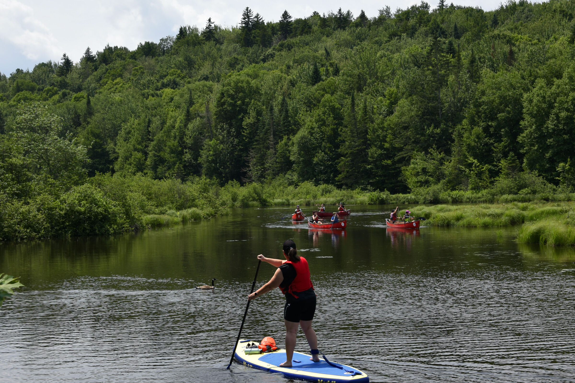 Gita in canoa al Lac St-Charles - Marais du Nord