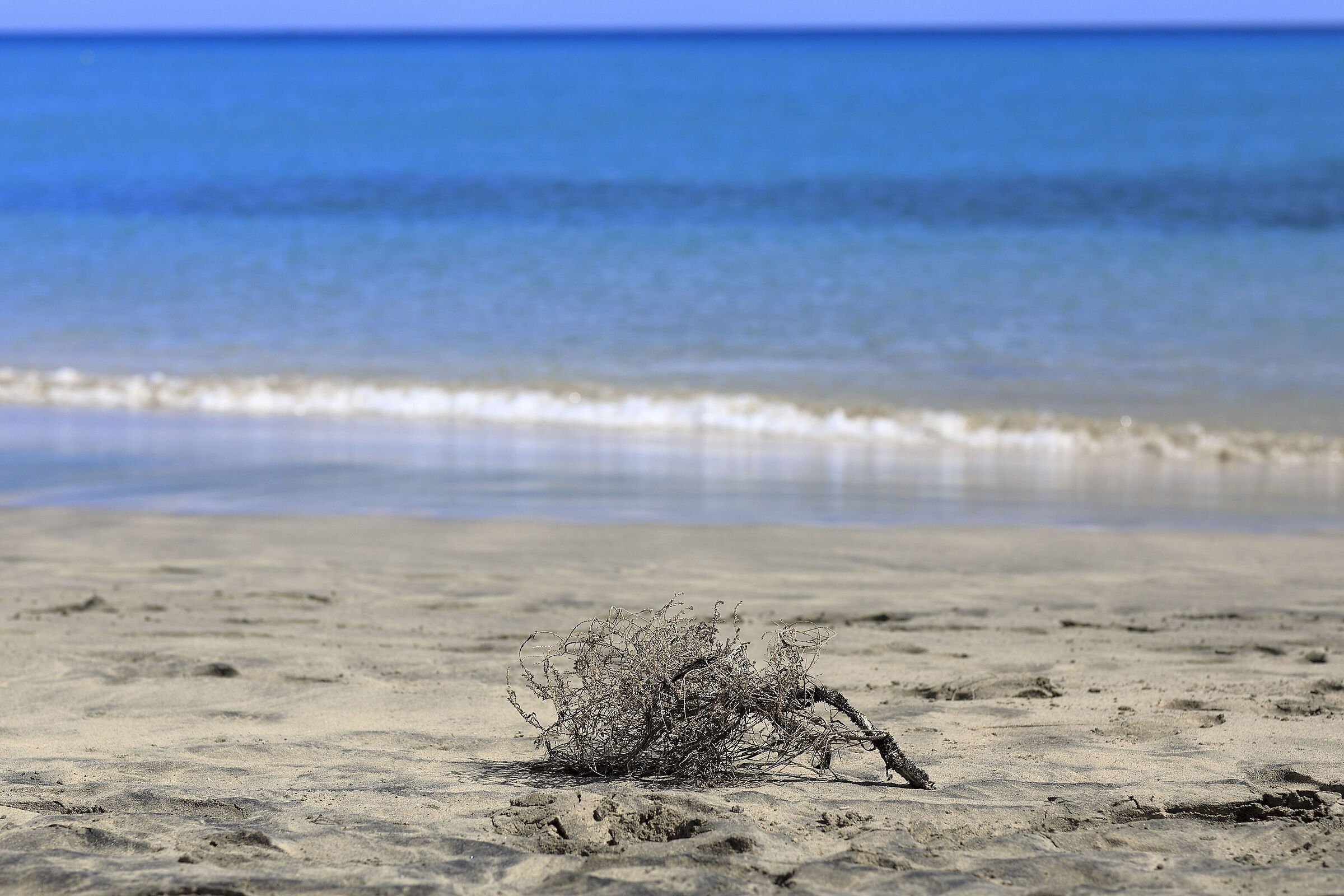 Plaja de Sotavento, Risco del Paso - Fuerteventura ES