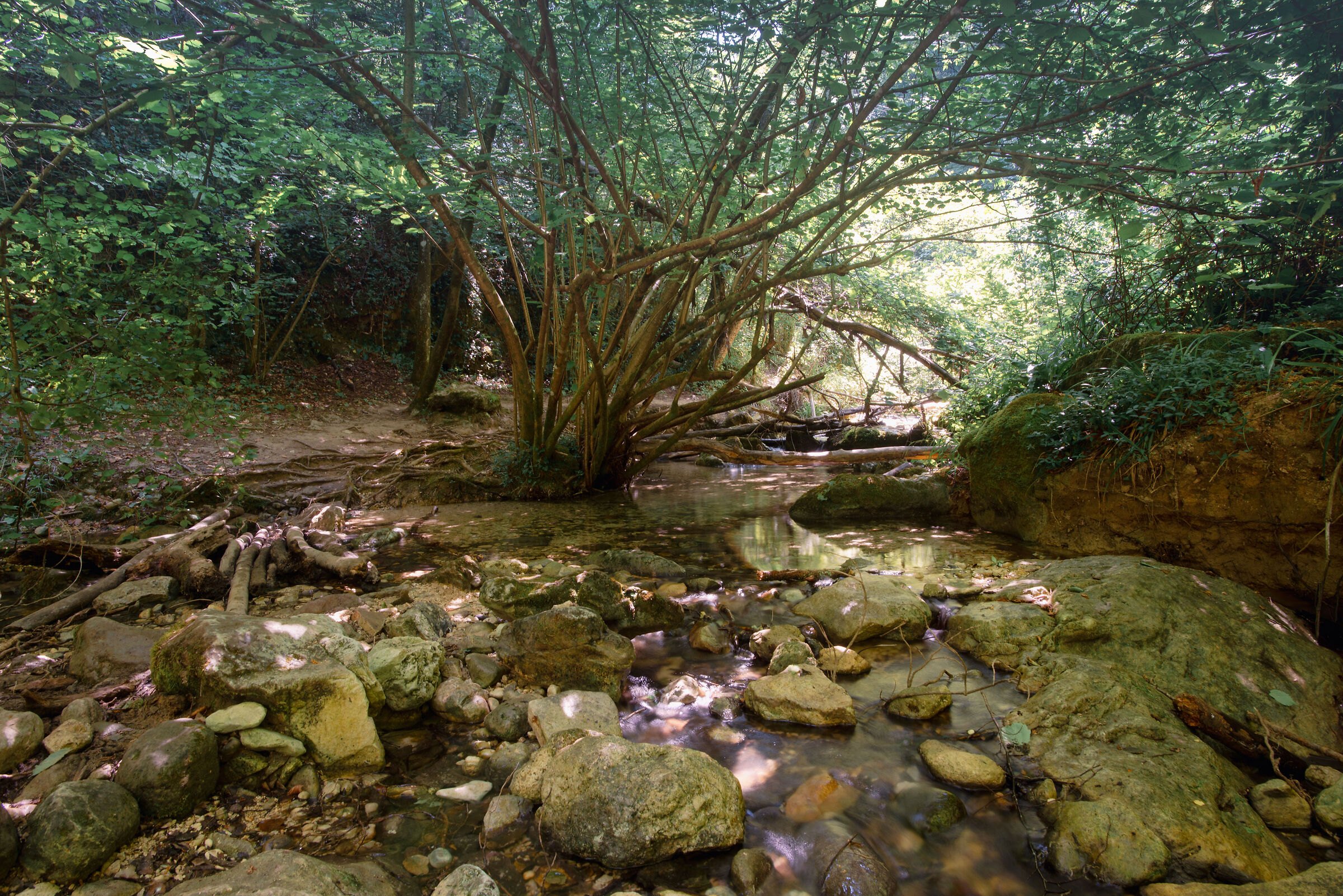 nature