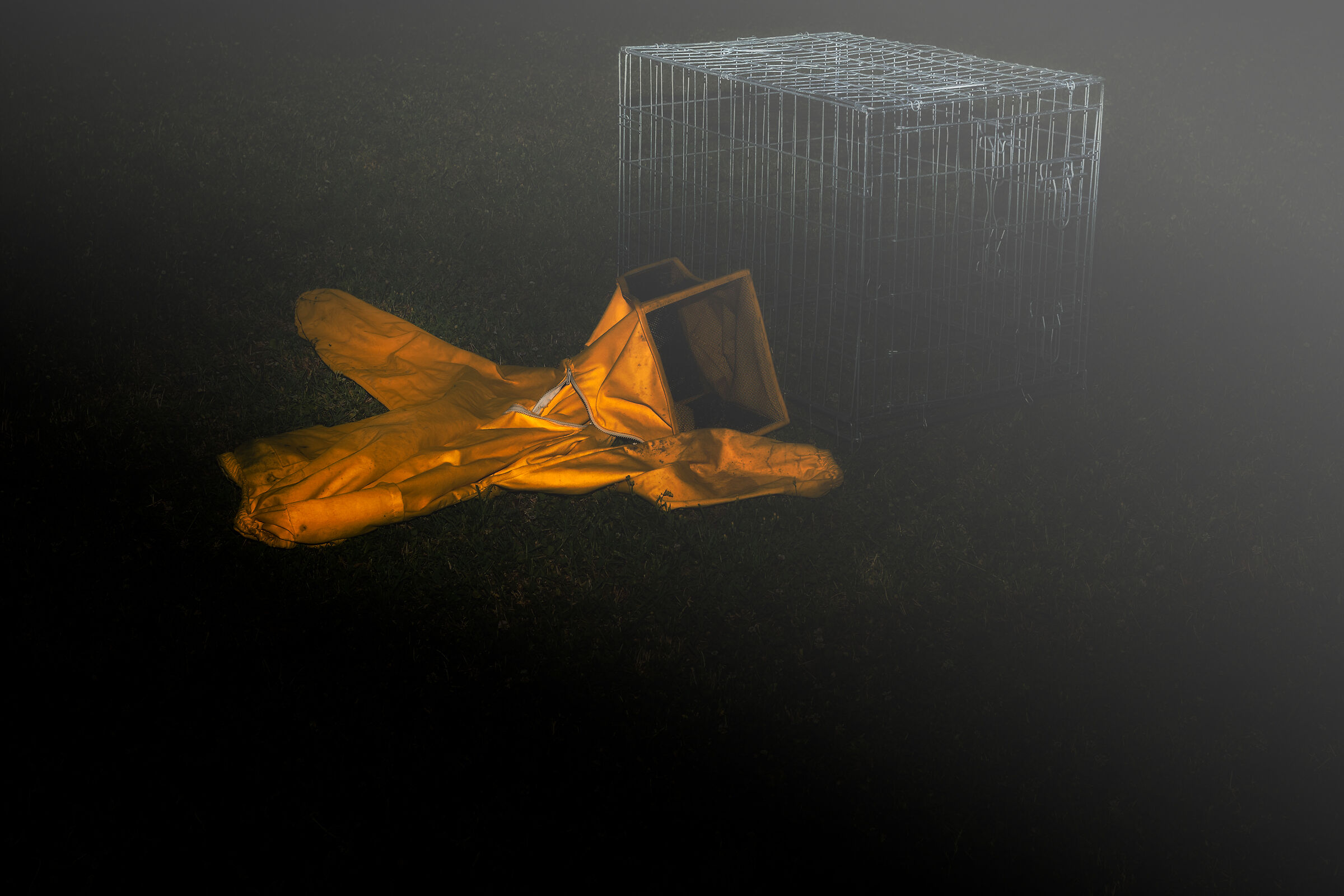 The body had disappeared at dawn