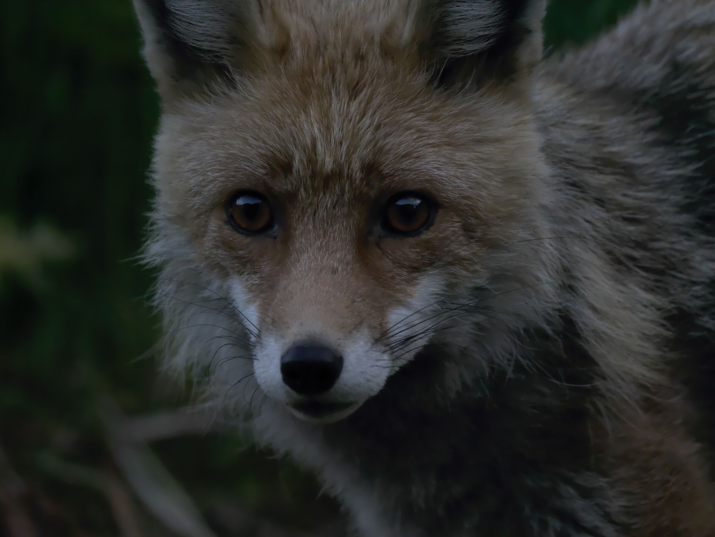 Appointment in the (almost) dark