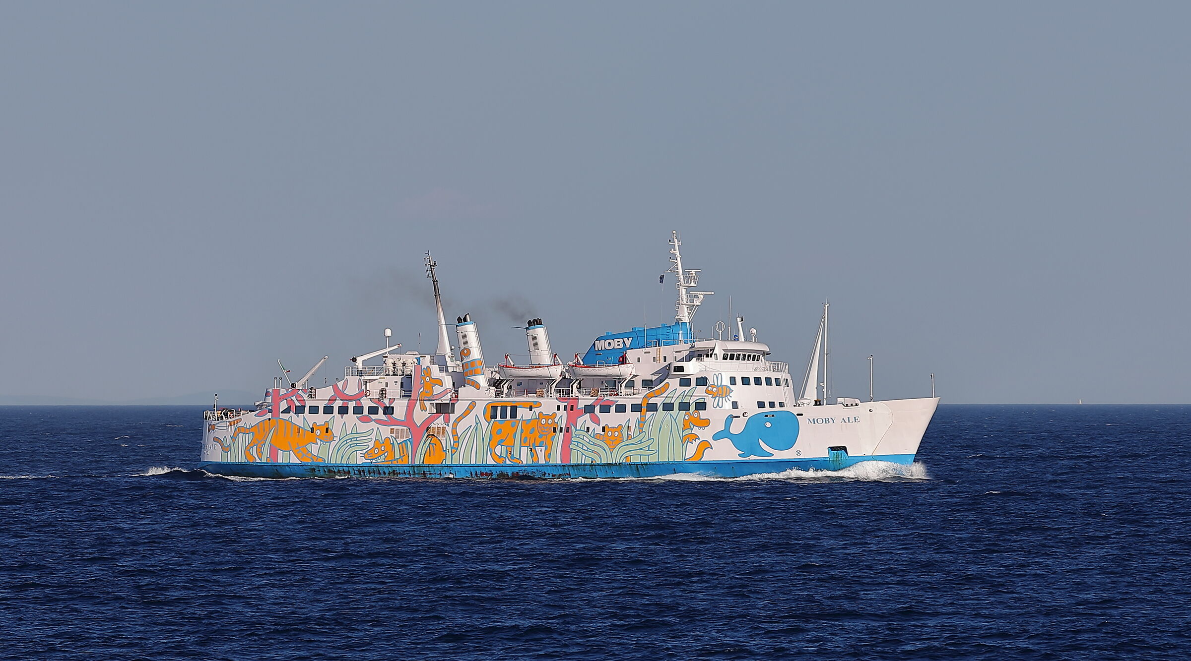 24/06/2023 - Return meeting from Elba