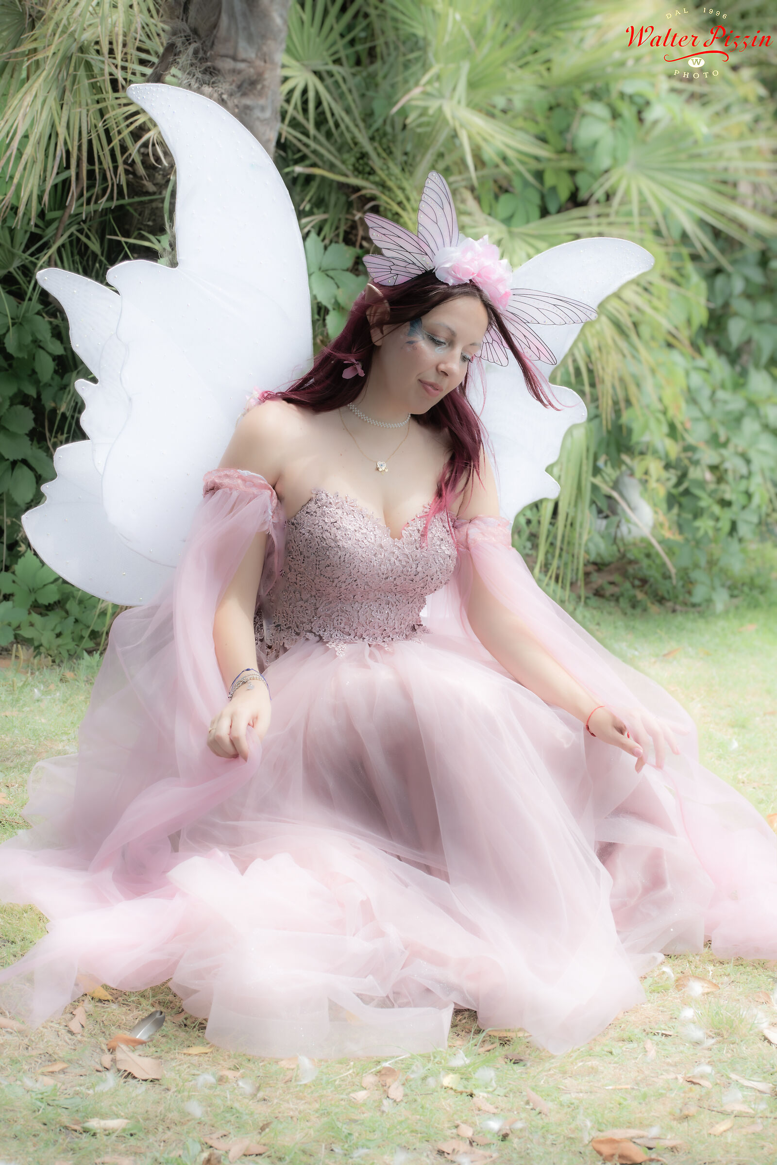 the Fairy !!