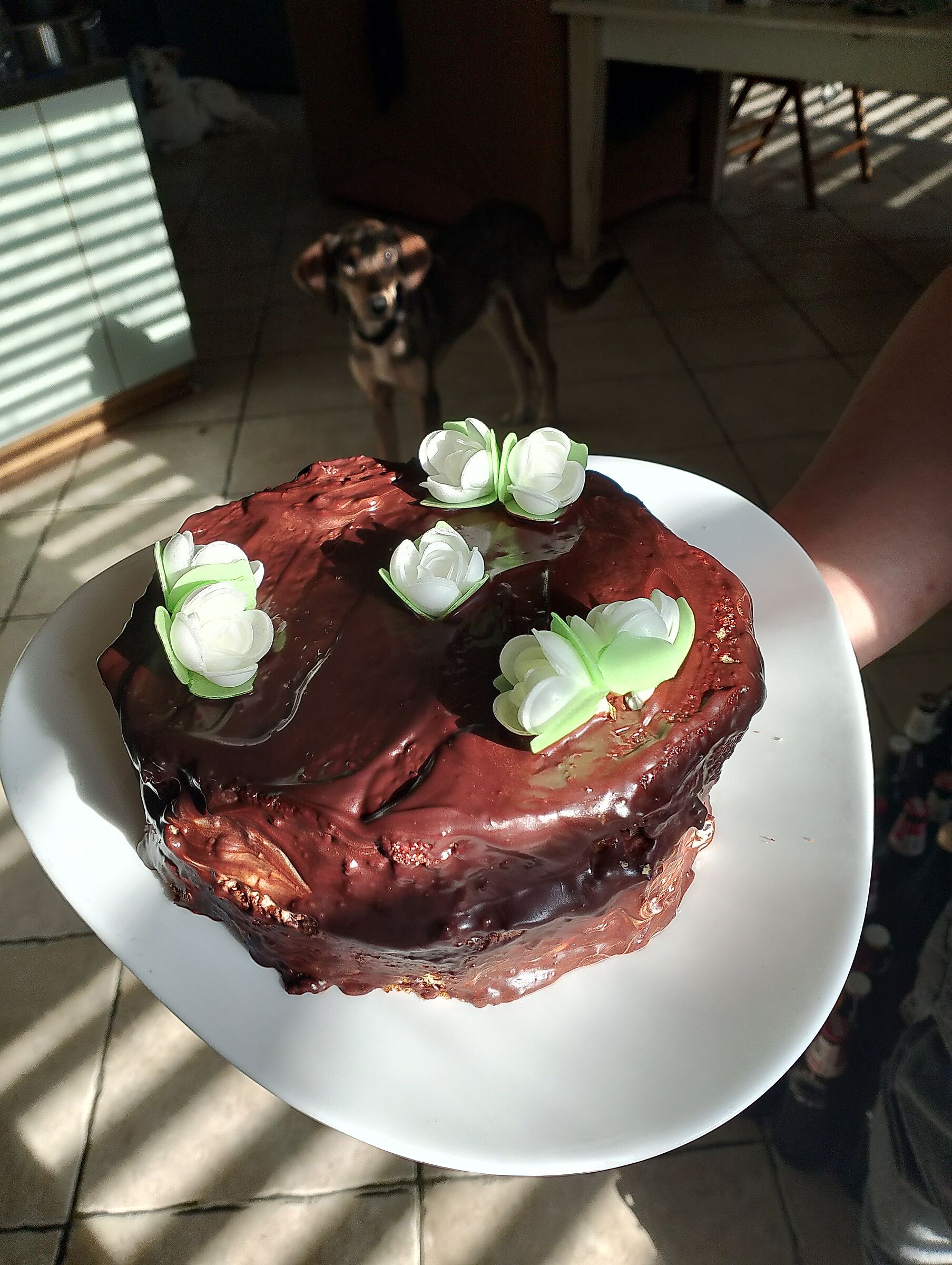 E son 24, Pepito in agguato!