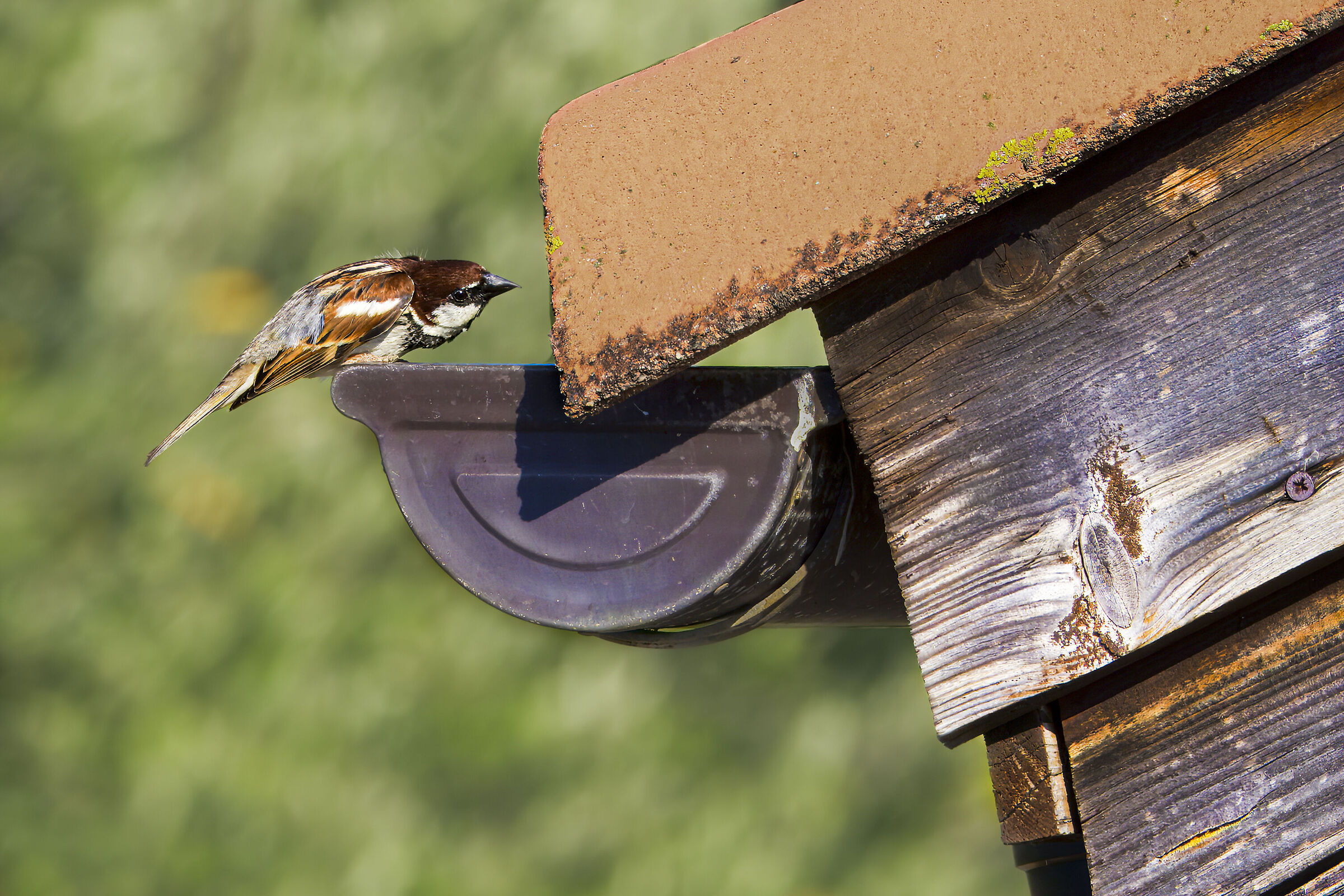 Love you're in the house