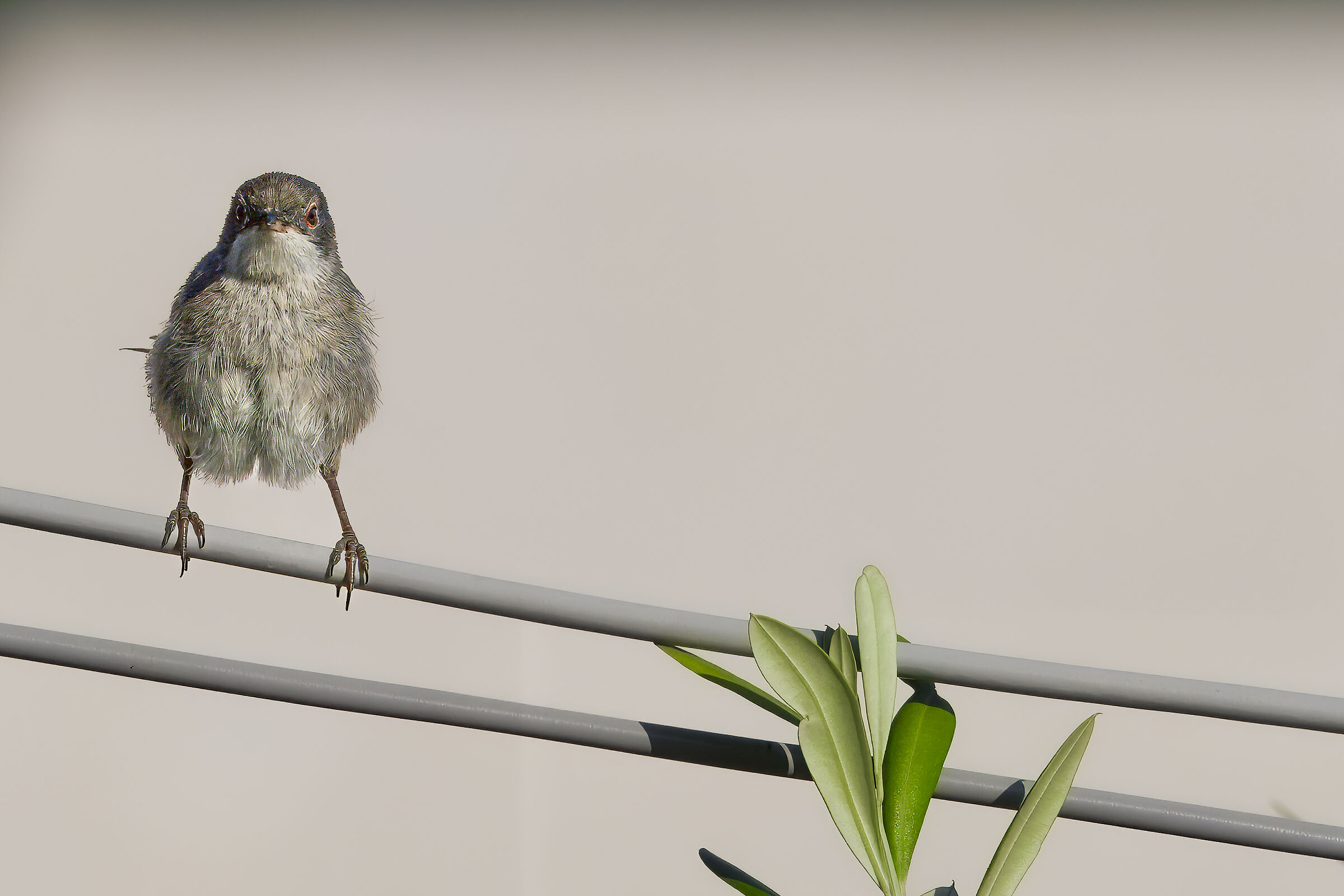 Why do you look at me