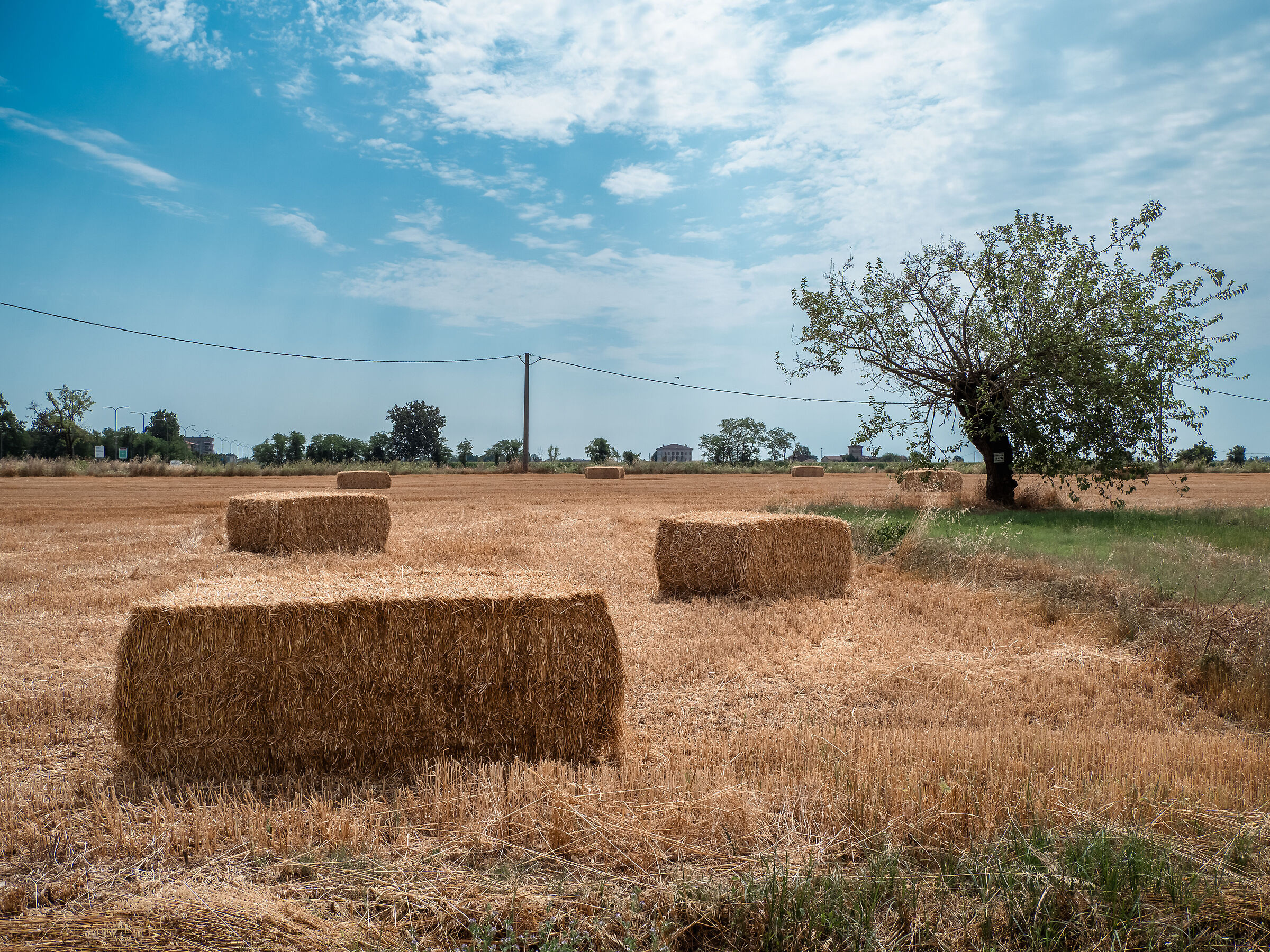 Estate in campagna a Piacenza