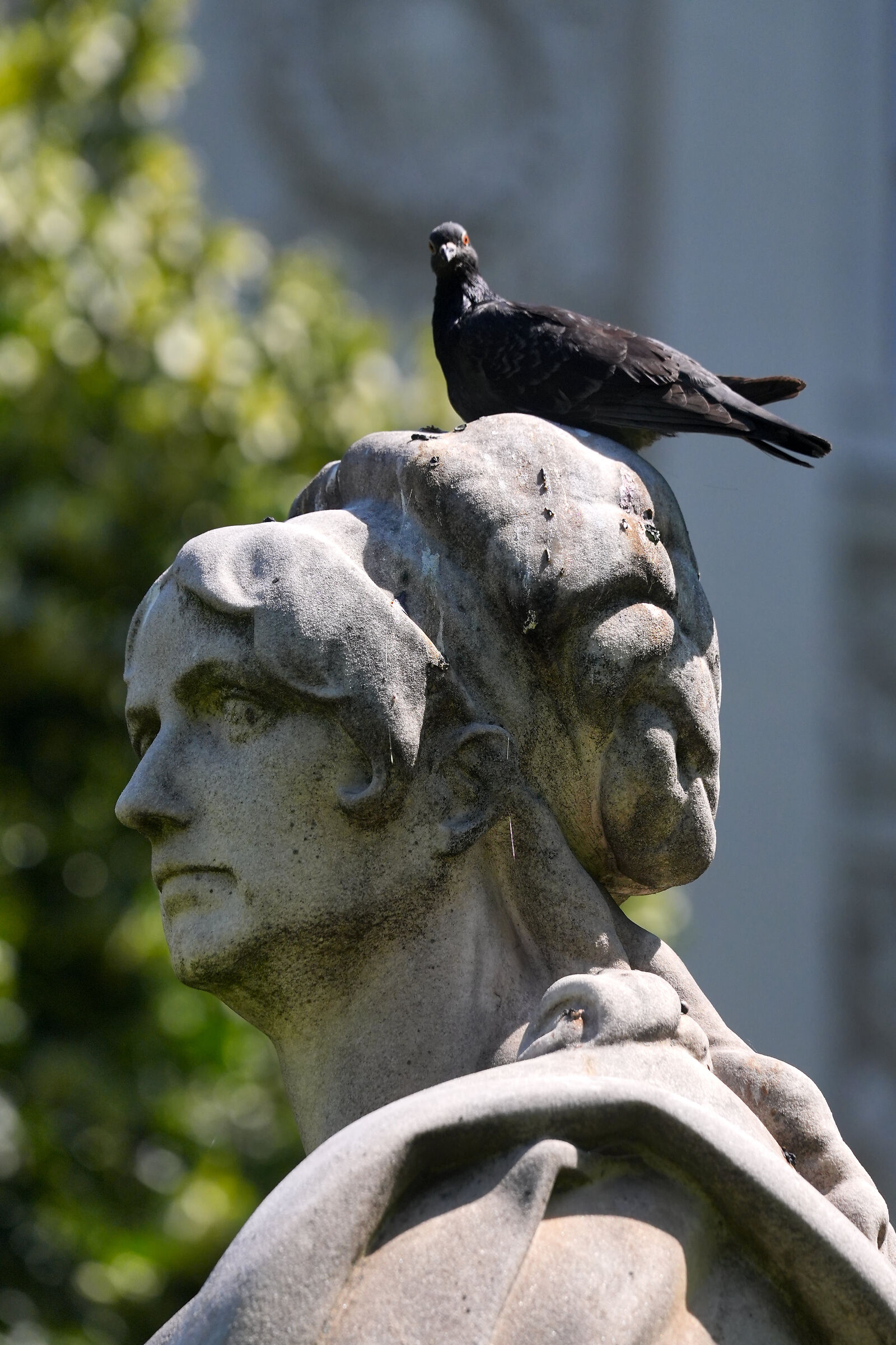 What do you have to look at?