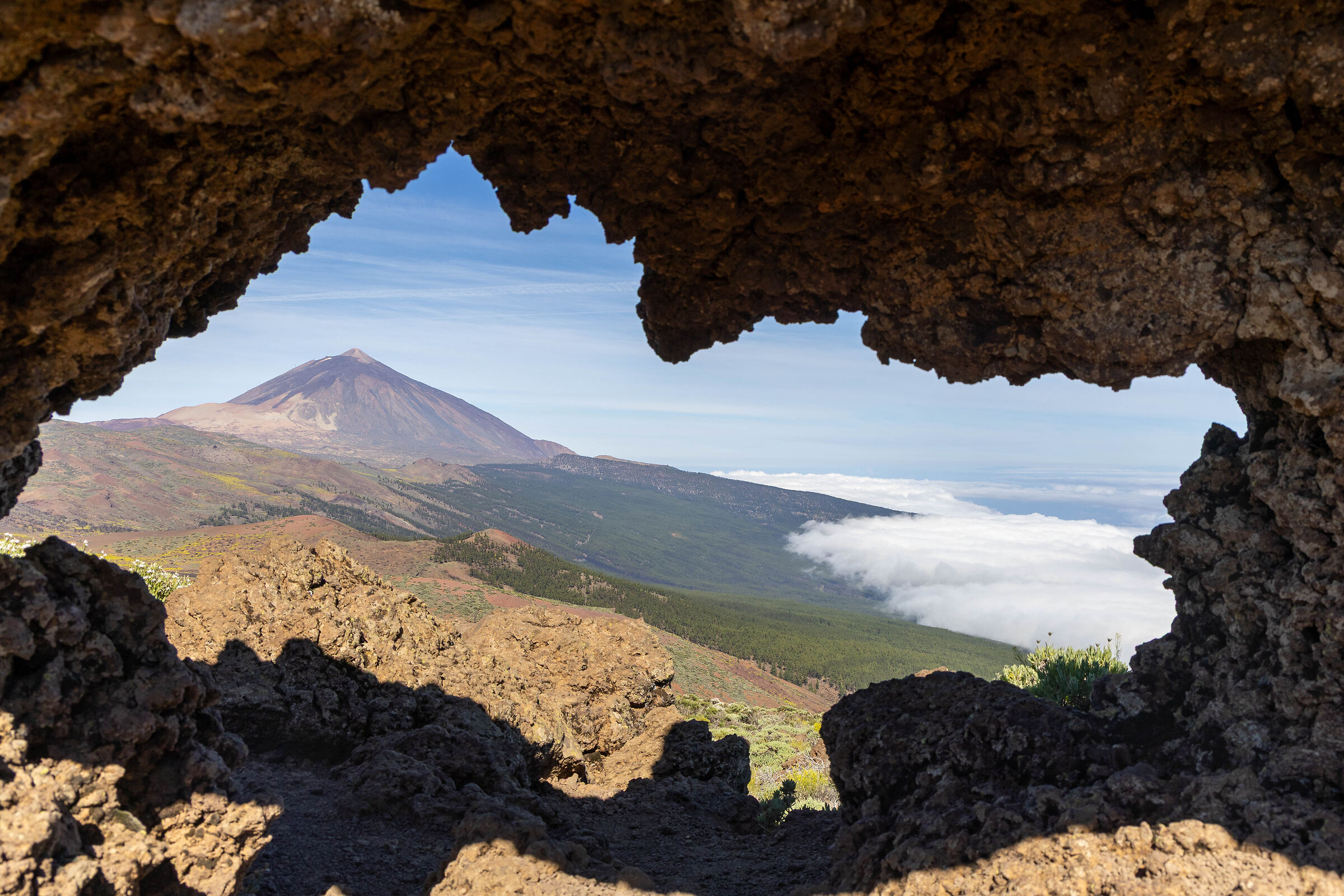 Arco mirador Tarta