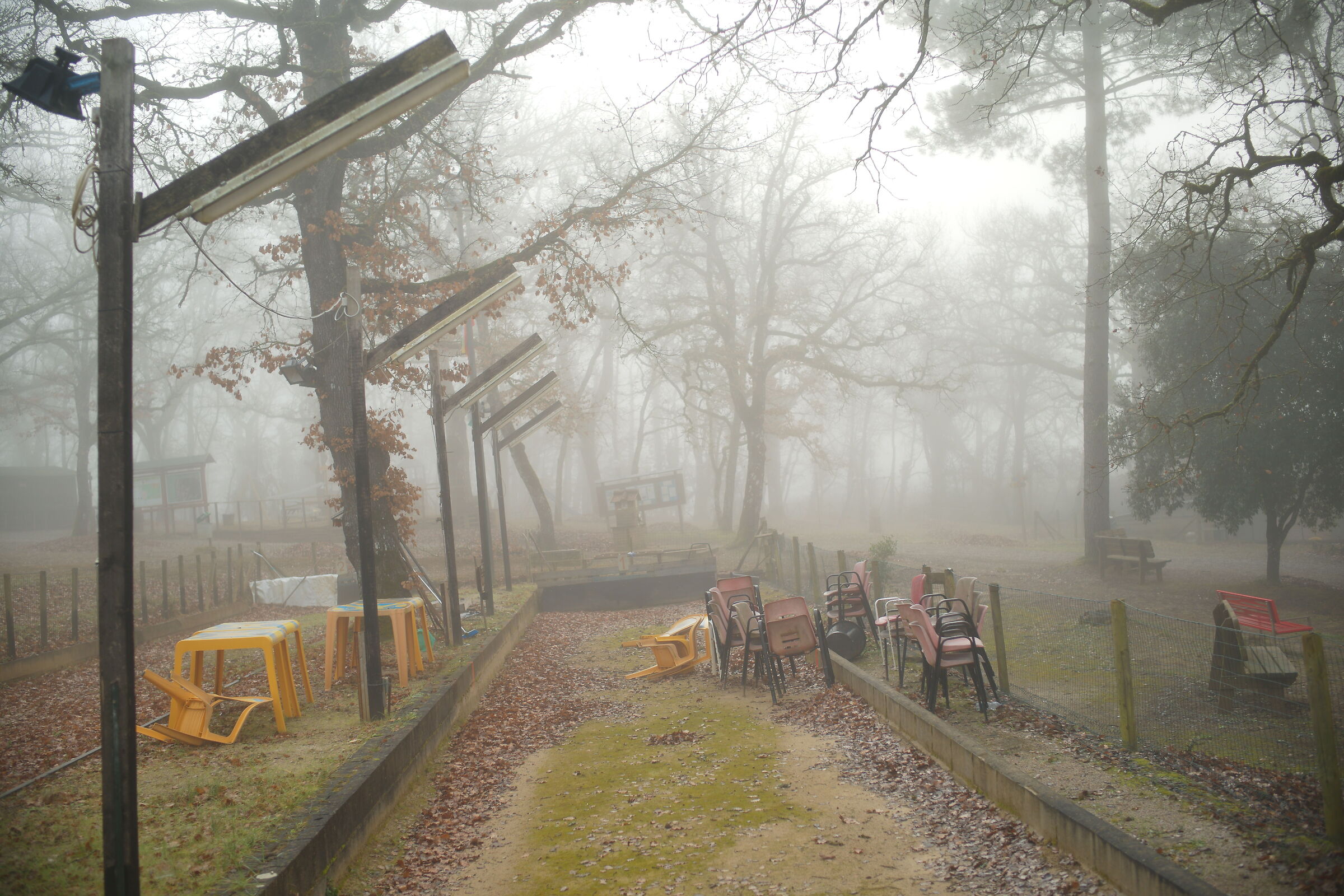 Sunrise in the woods of Siena