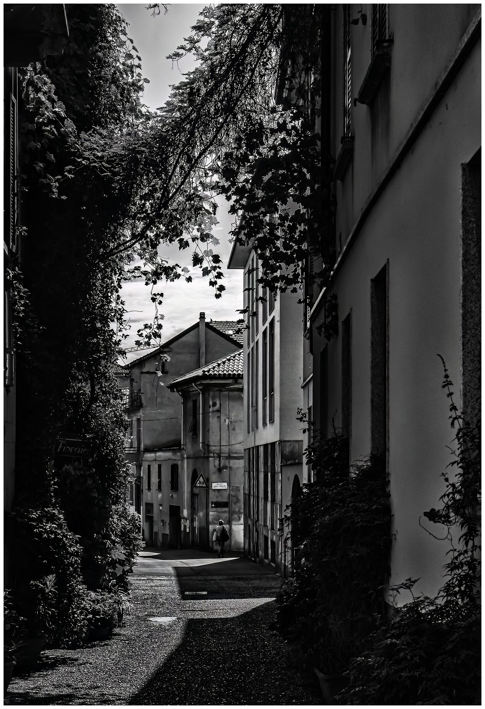 Un pomeriggio d'estate