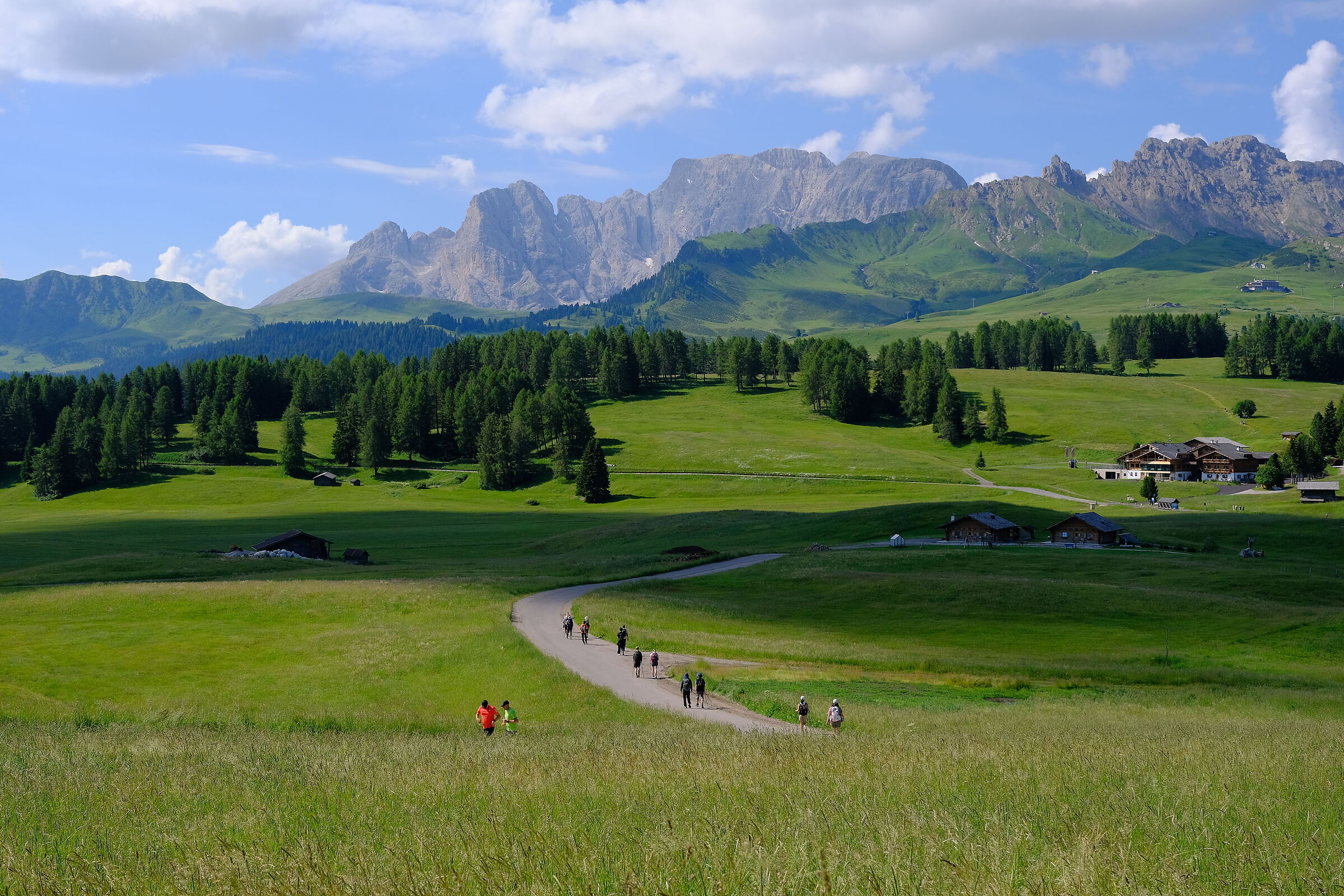 Alpe di Siusi